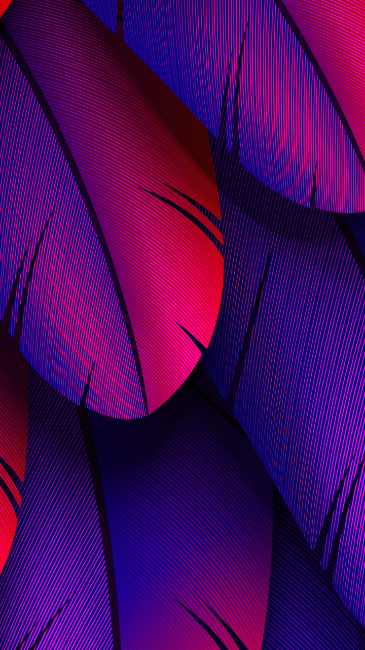 Light, Colorfulness, Purple, Azure, Textile. Wallpaper in 720x1280 Resolution