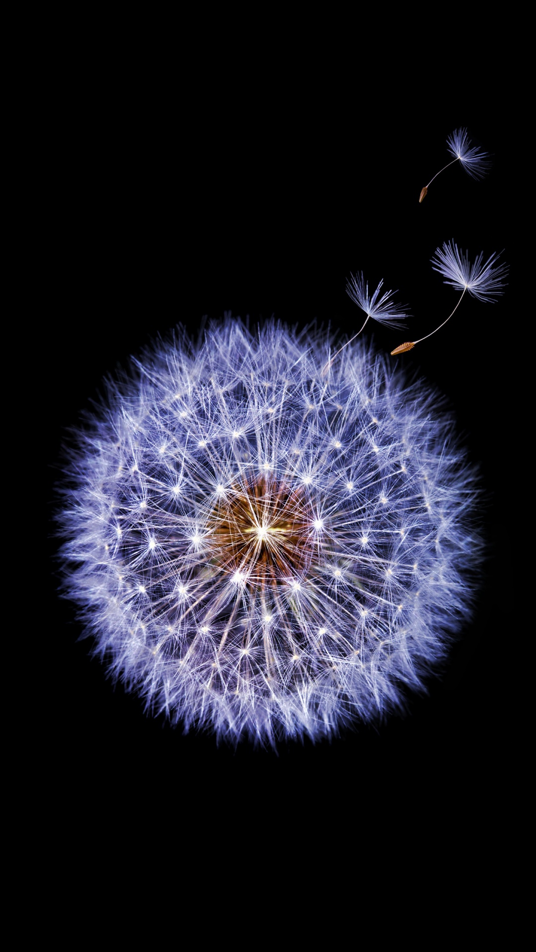 Samsung Galaxy, Samsung, Samsung Galaxy S9, Google Play, Android. Wallpaper in 1080x1920 Resolution