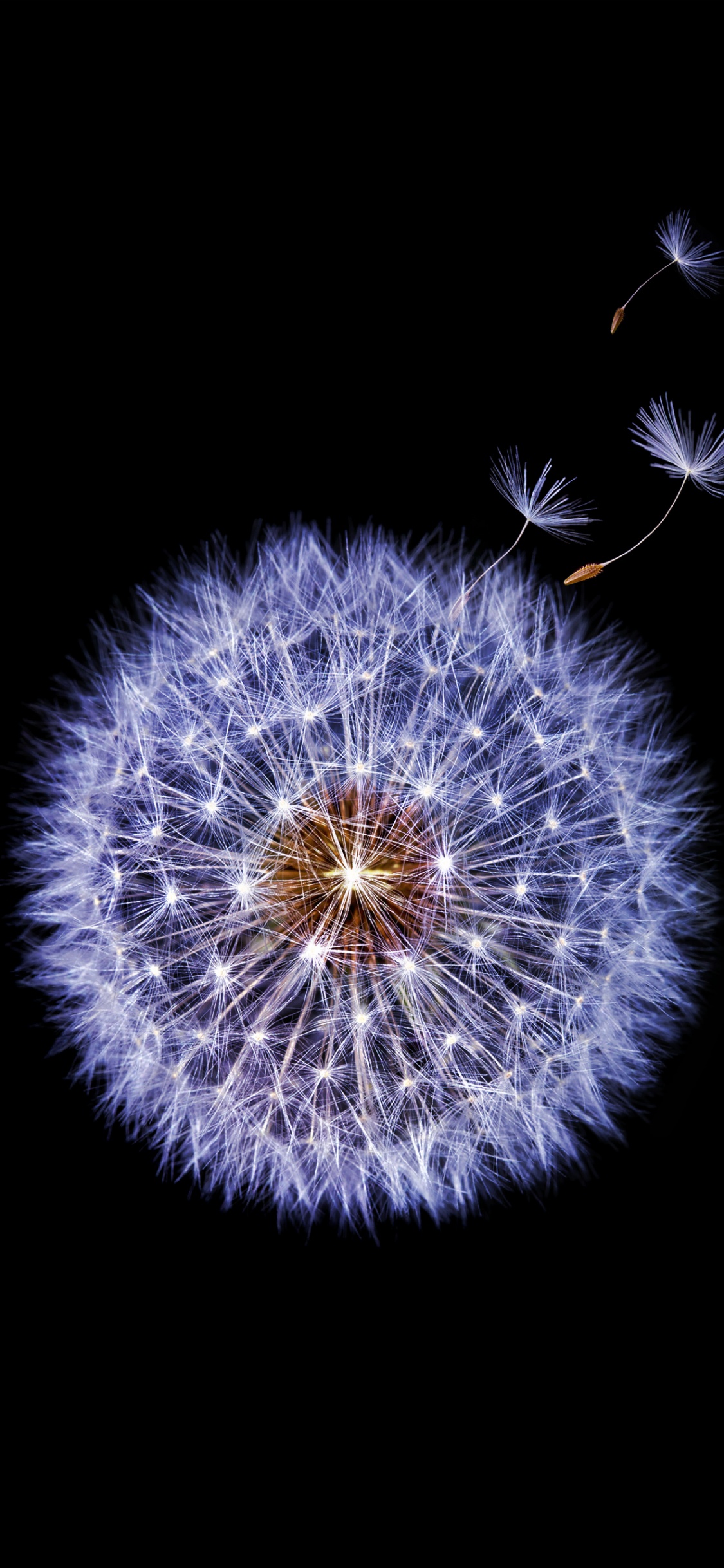 Samsung Galaxy, Samsung, Samsung Galaxy S9, Google Play, Android. Wallpaper in 1125x2436 Resolution