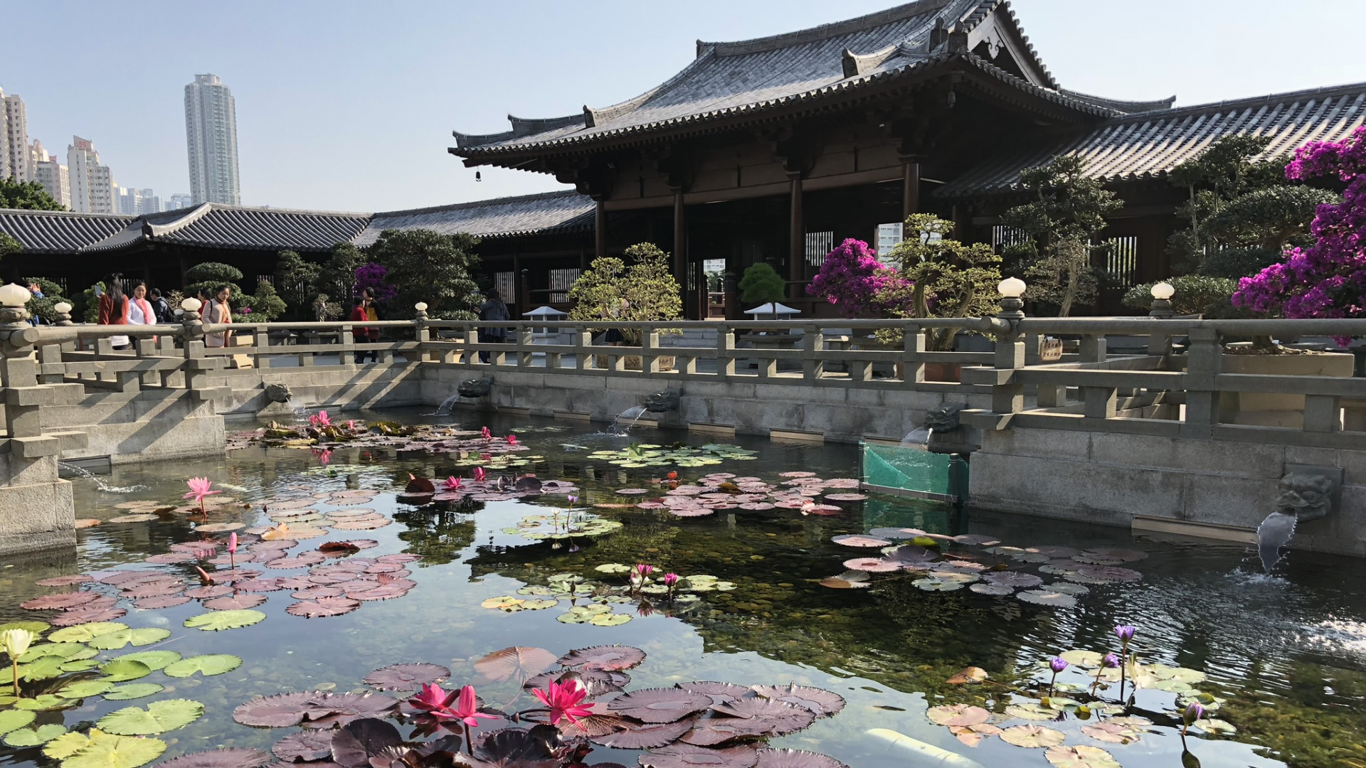 Chinese Architecture, Tourism, Water, Tourist Attraction, Body of Water. Wallpaper in 1920x1080 Resolution