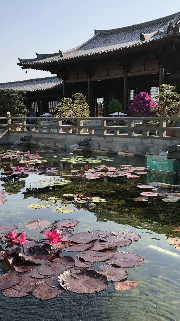 Chinese Architecture, Tourism, Water, Tourist Attraction, Body of Water. Wallpaper in 720x1280 Resolution