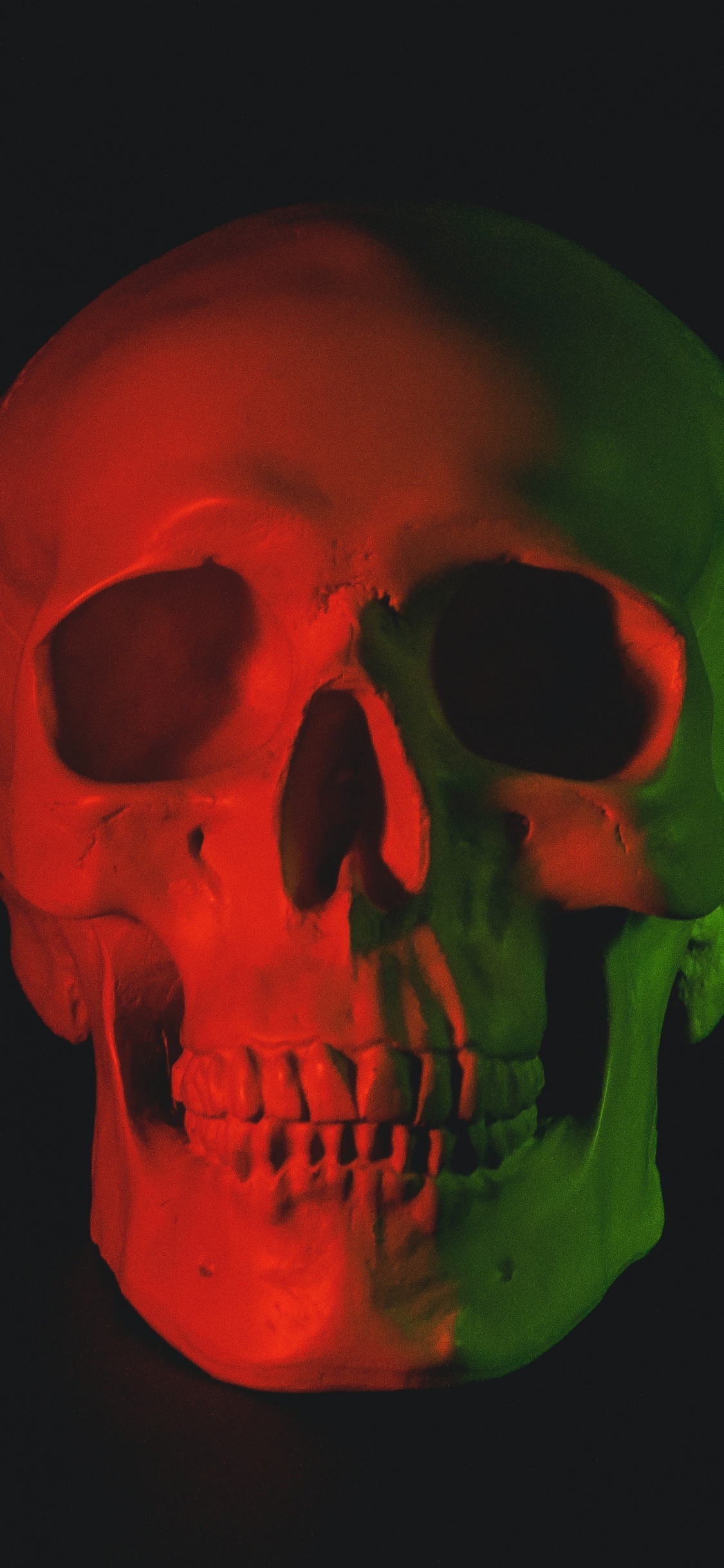 Skeleton, Skull, Human Skull, Human, Skull Art. Wallpaper in 1125x2436 Resolution