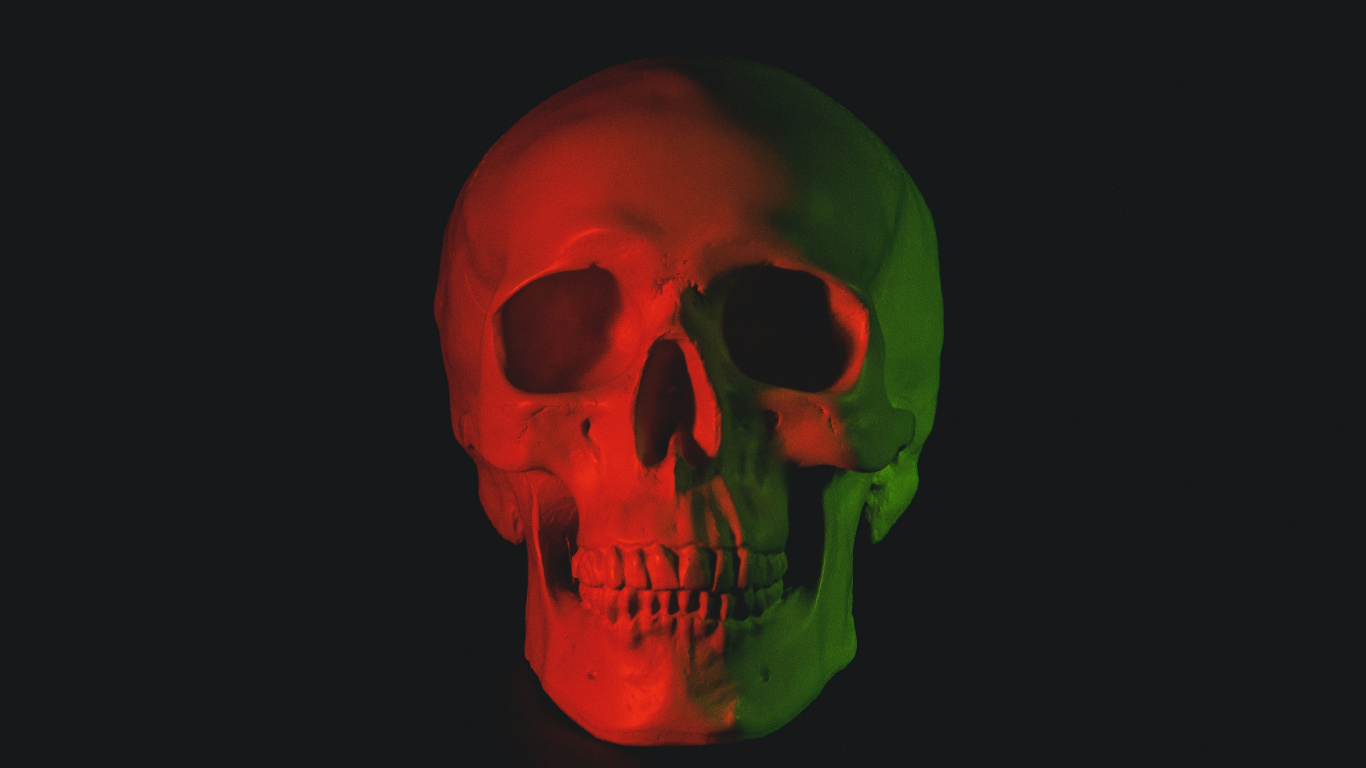 Skeleton, Skull, Human Skull, Human, Skull Art. Wallpaper in 1366x768 Resolution