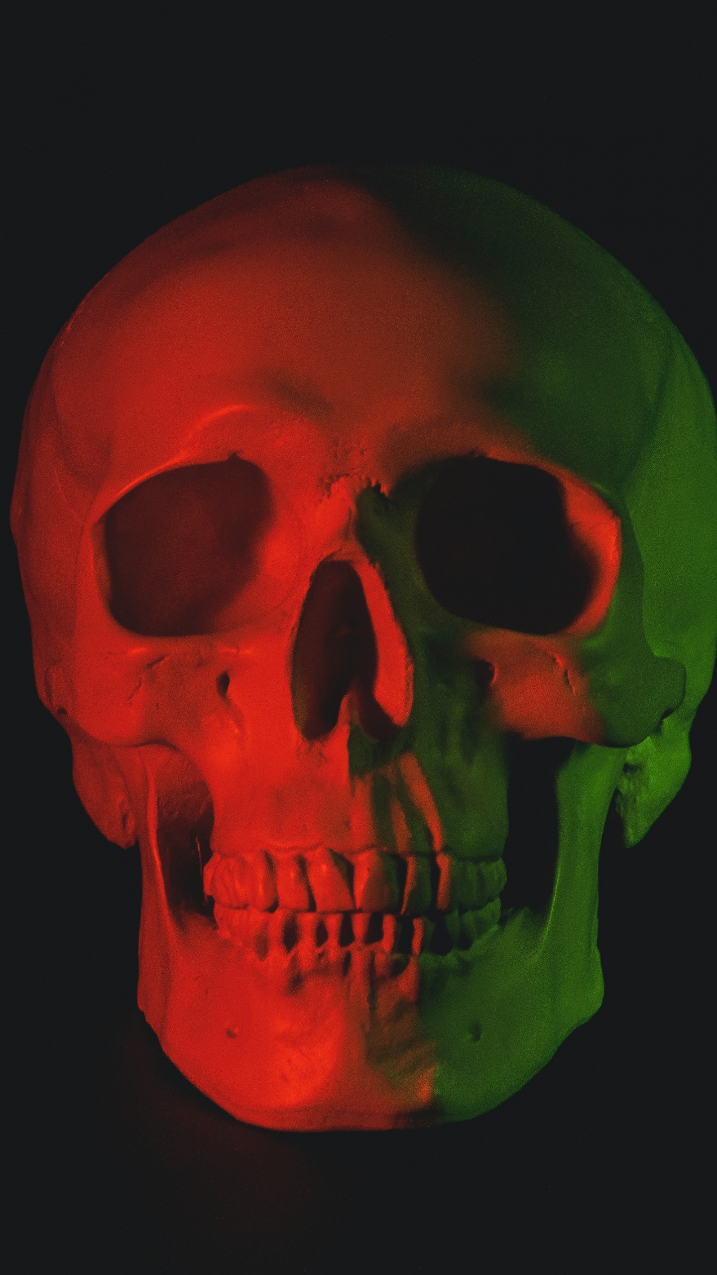 Skelett, Schädel, Menschlicher Schädel, Schädel Kunst, Menschlichen Körper. Wallpaper in 1440x2560 Resolution