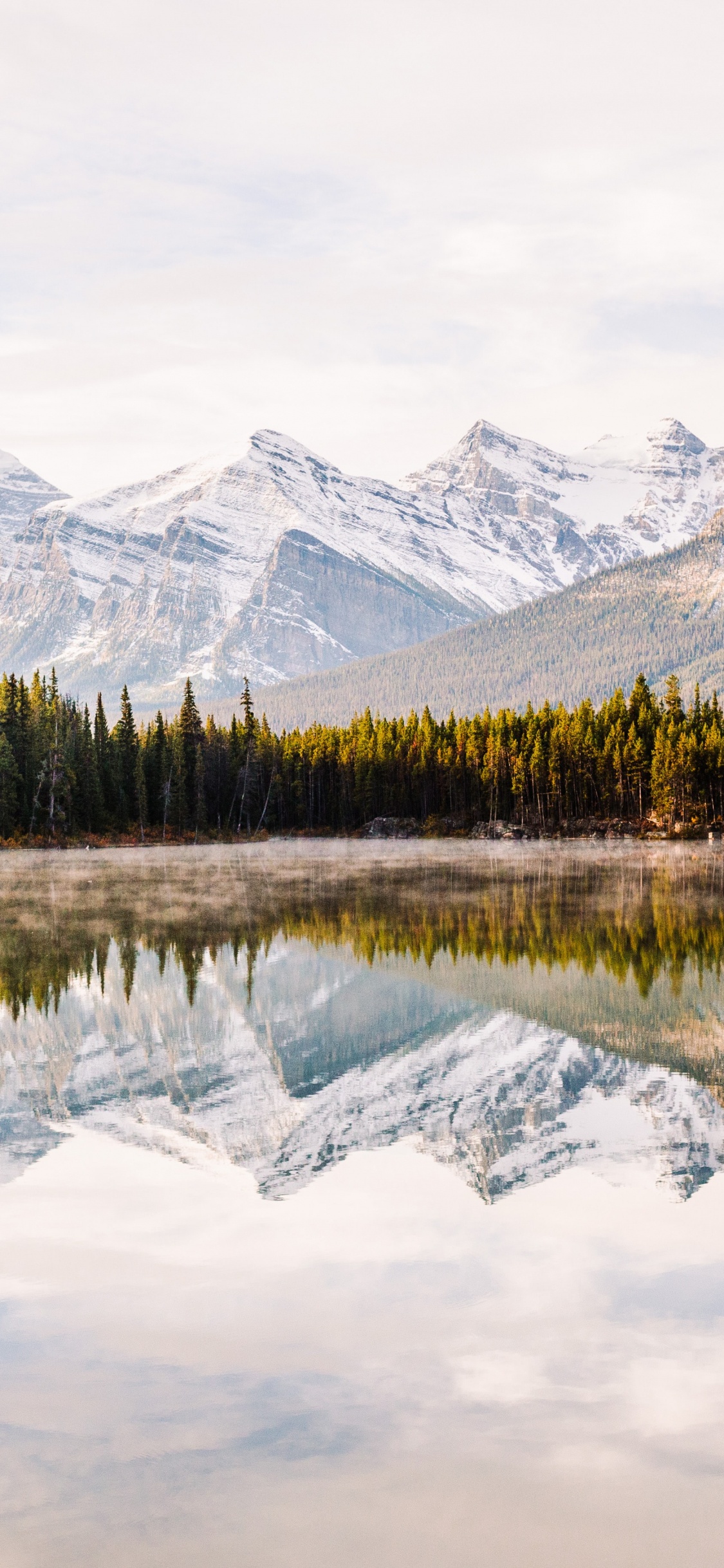 Water, Cloud, Plant, Mountain, Water Resources. Wallpaper in 1125x2436 Resolution