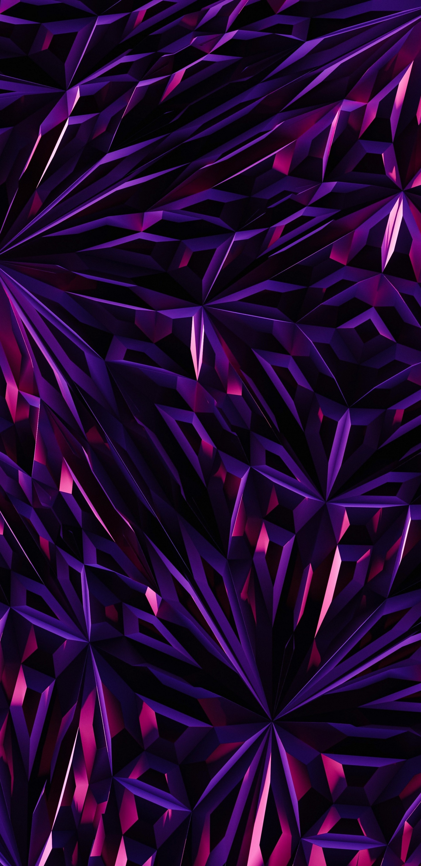 安卓, 紫色的, 紫罗兰色, 粉红色, 品红色 壁纸 1440x2960 允许