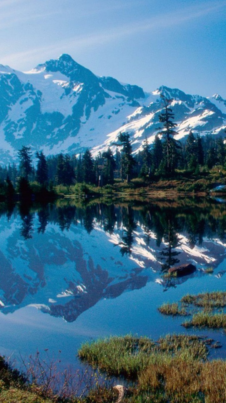 Green Trees Near Lake and Snow Covered Mountain During Daytime. Wallpaper in 720x1280 Resolution