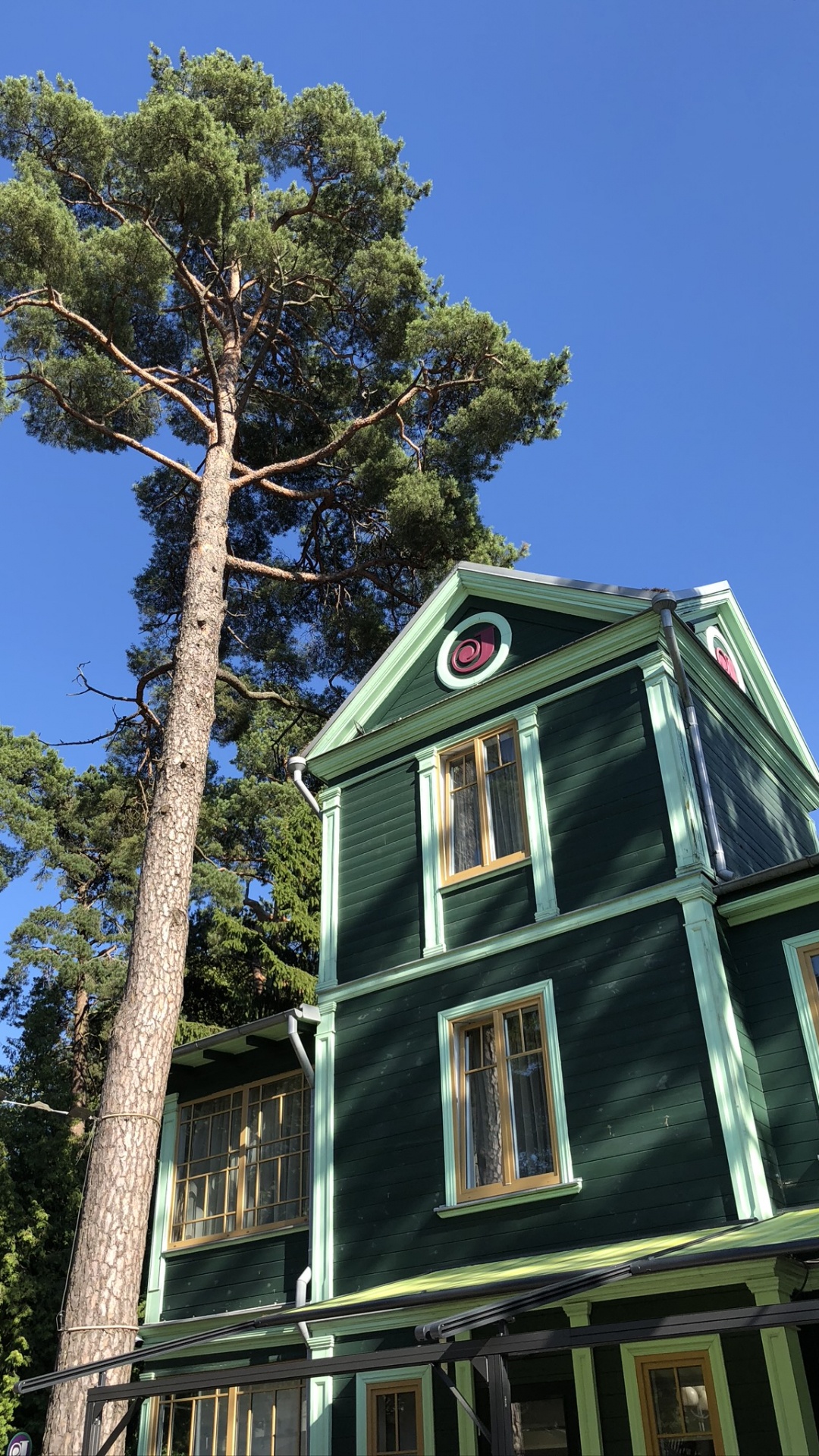 Feuille, Propriété, Fenêtre à Guillotine, Bâtiment Classé. Wallpaper in 1080x1920 Resolution