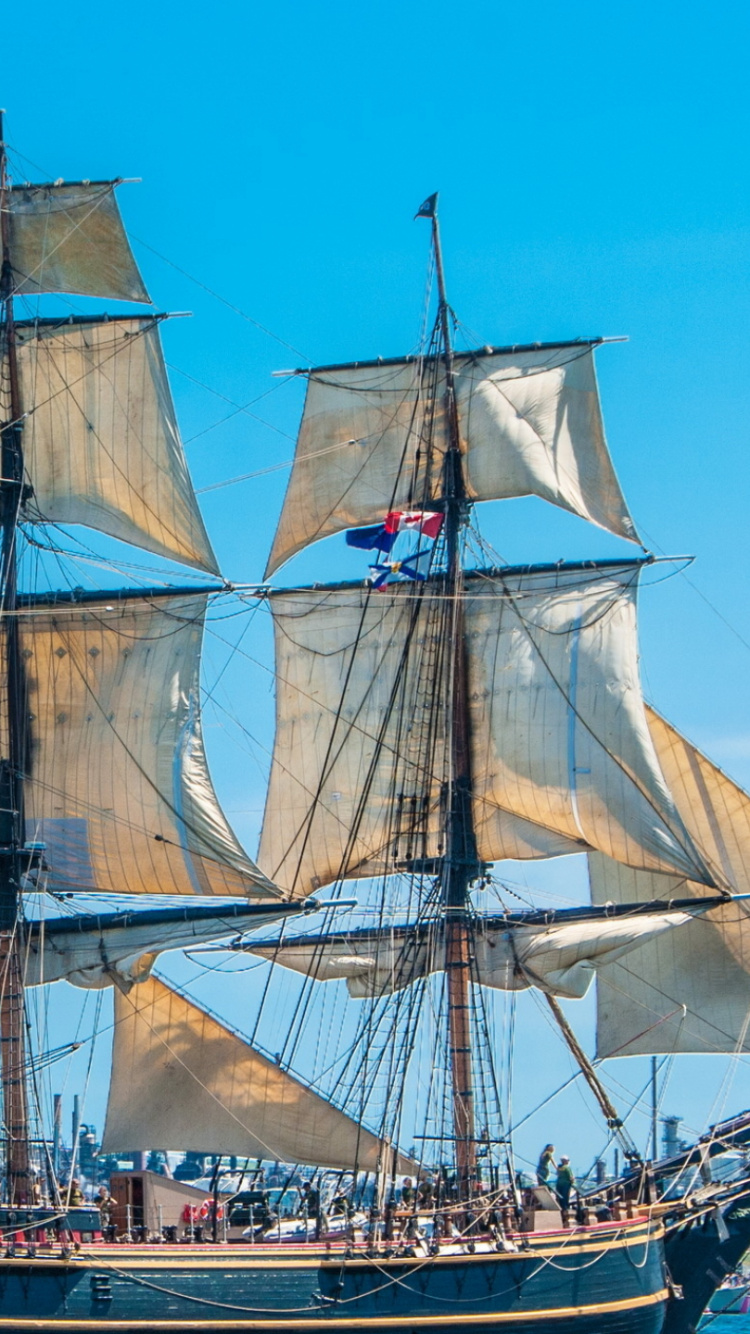 Brown and White Sail Ship on Sea During Daytime. Wallpaper in 750x1334 Resolution