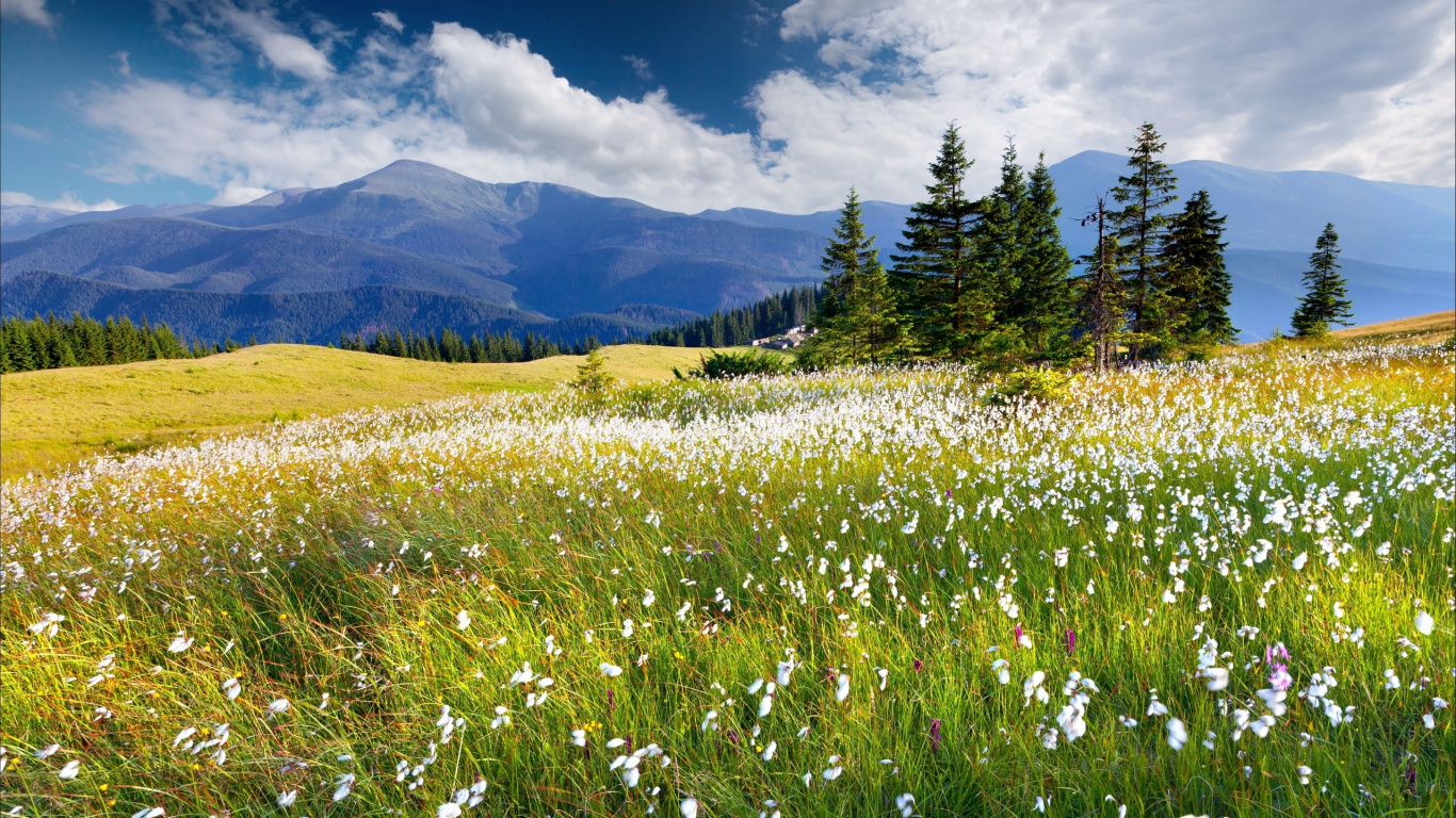 Grüne Wiese in Der Nähe Von Grünen Bäumen Und Bergen Unter Blauem Himmel Tagsüber Sky. Wallpaper in 1366x768 Resolution