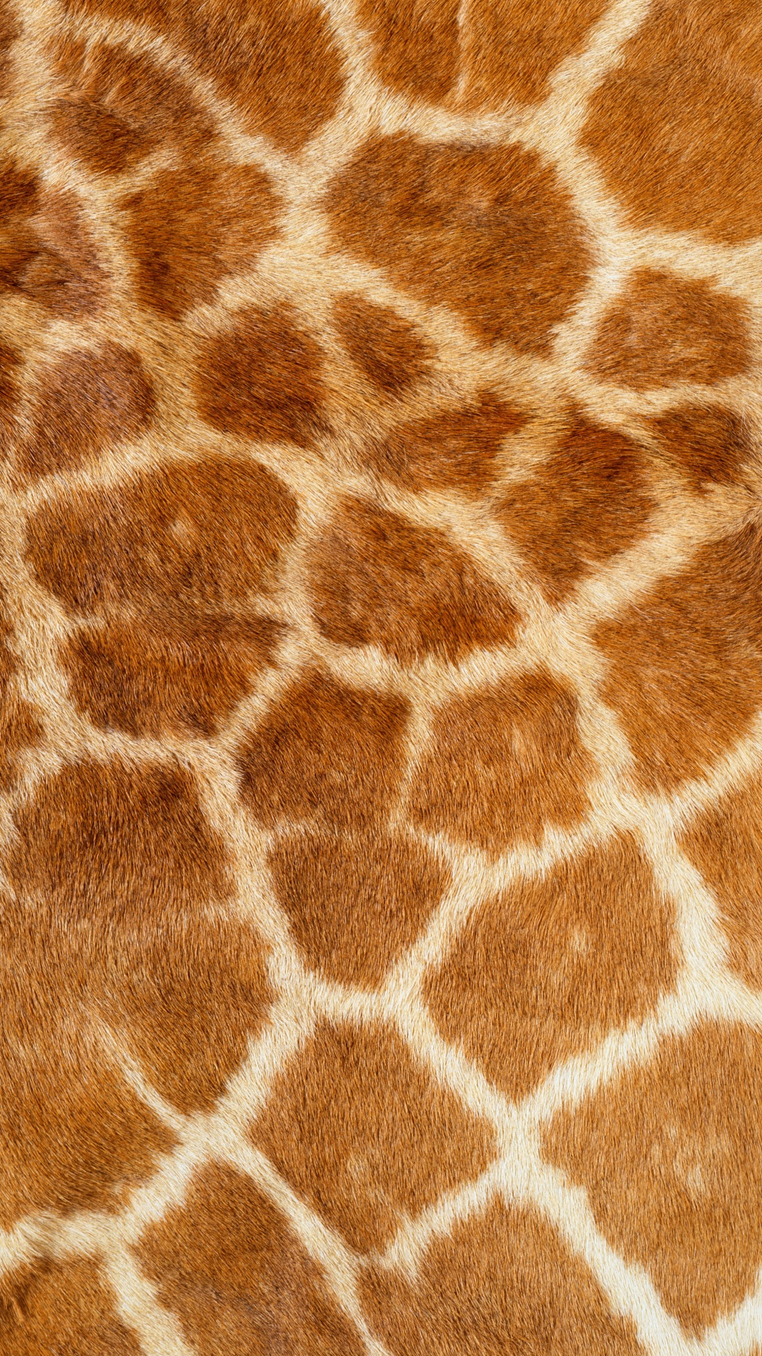 Brown and White Fur Textile. Wallpaper in 1080x1920 Resolution