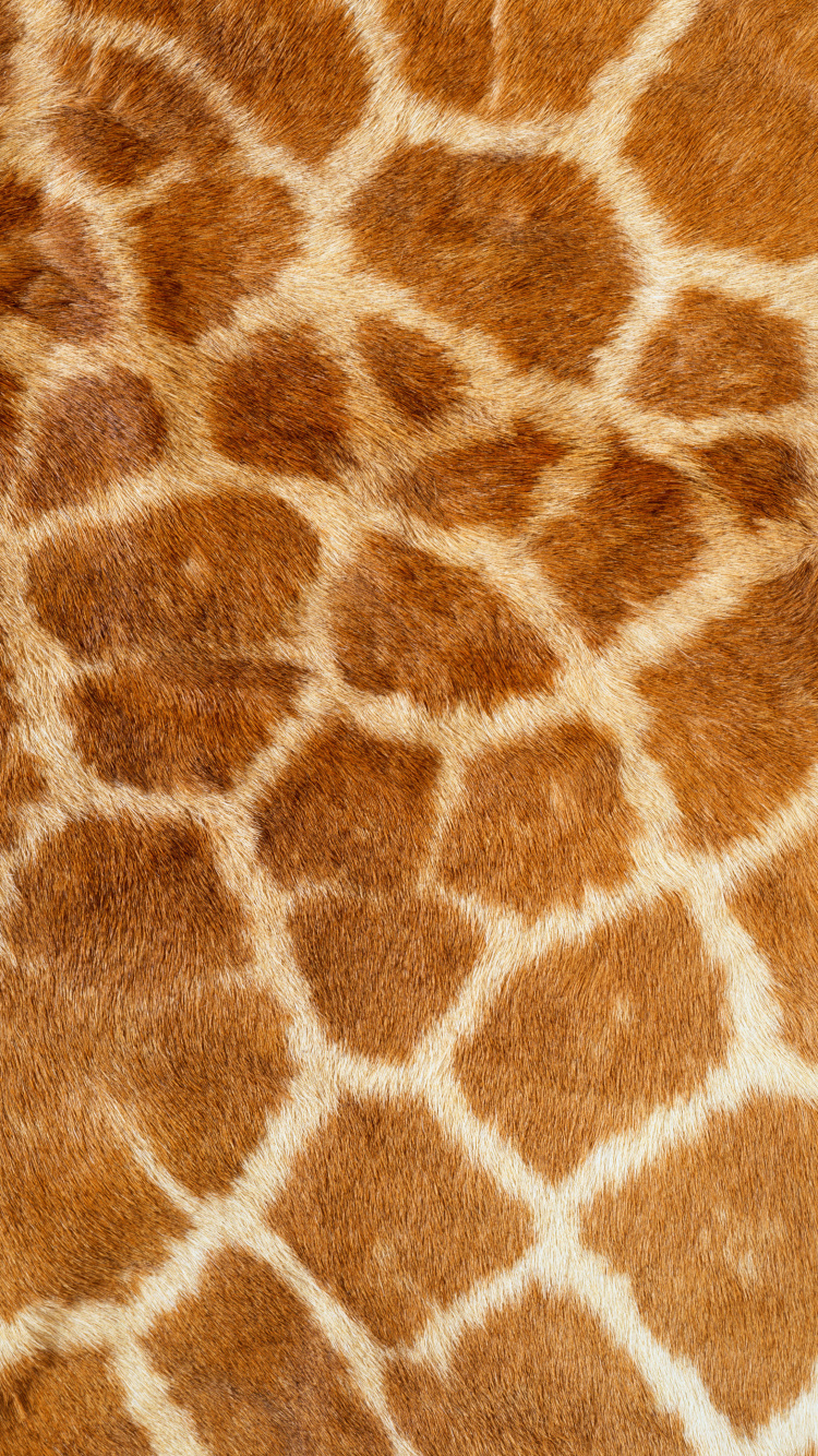 Brown and White Fur Textile. Wallpaper in 750x1334 Resolution