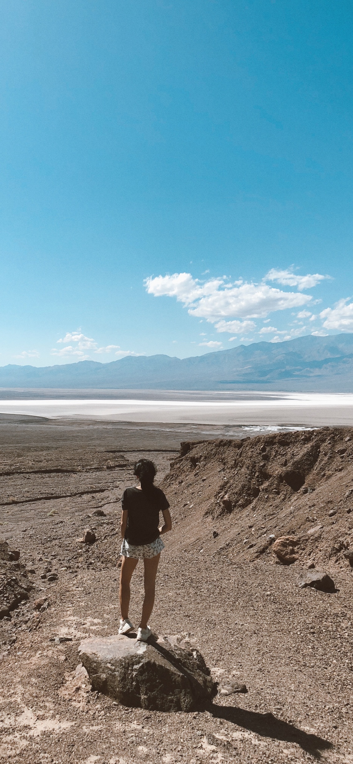 的土壤, 沙, 荒地, 风积地貌, 苔原 壁纸 1125x2436 允许