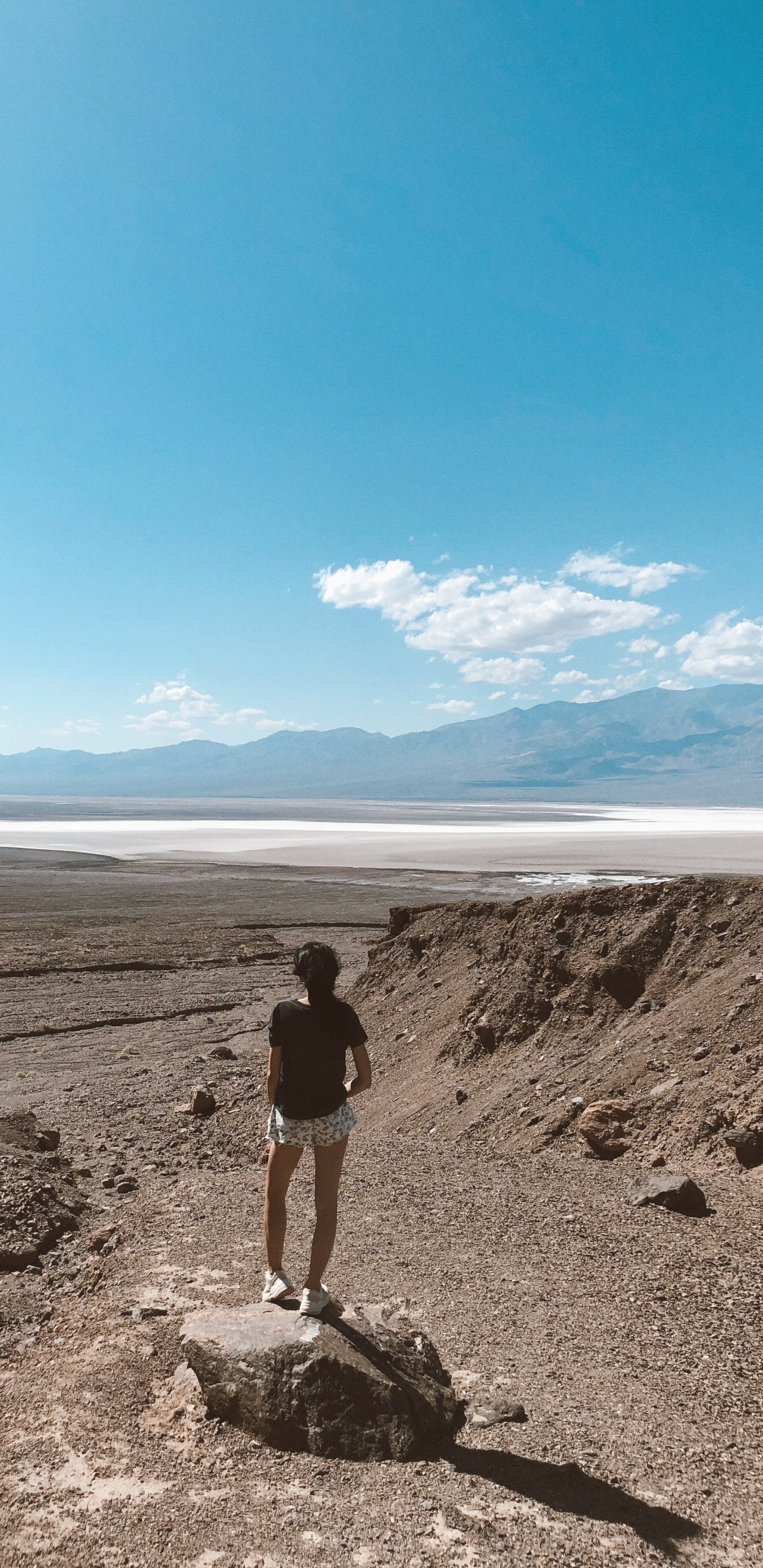 的土壤, 沙, 荒地, 风积地貌, 苔原 壁纸 1440x2960 允许