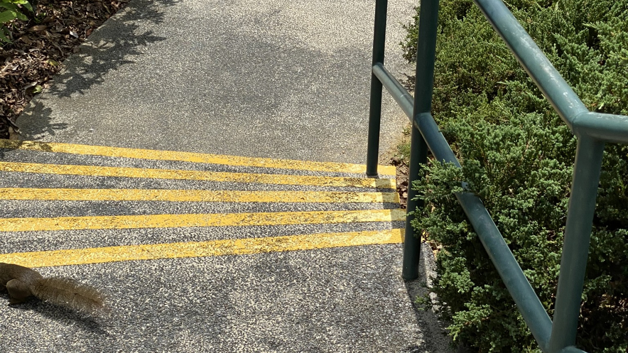 Path, Road Surface, Sidewalk, Asphalt, Mathematics. Wallpaper in 1280x720 Resolution