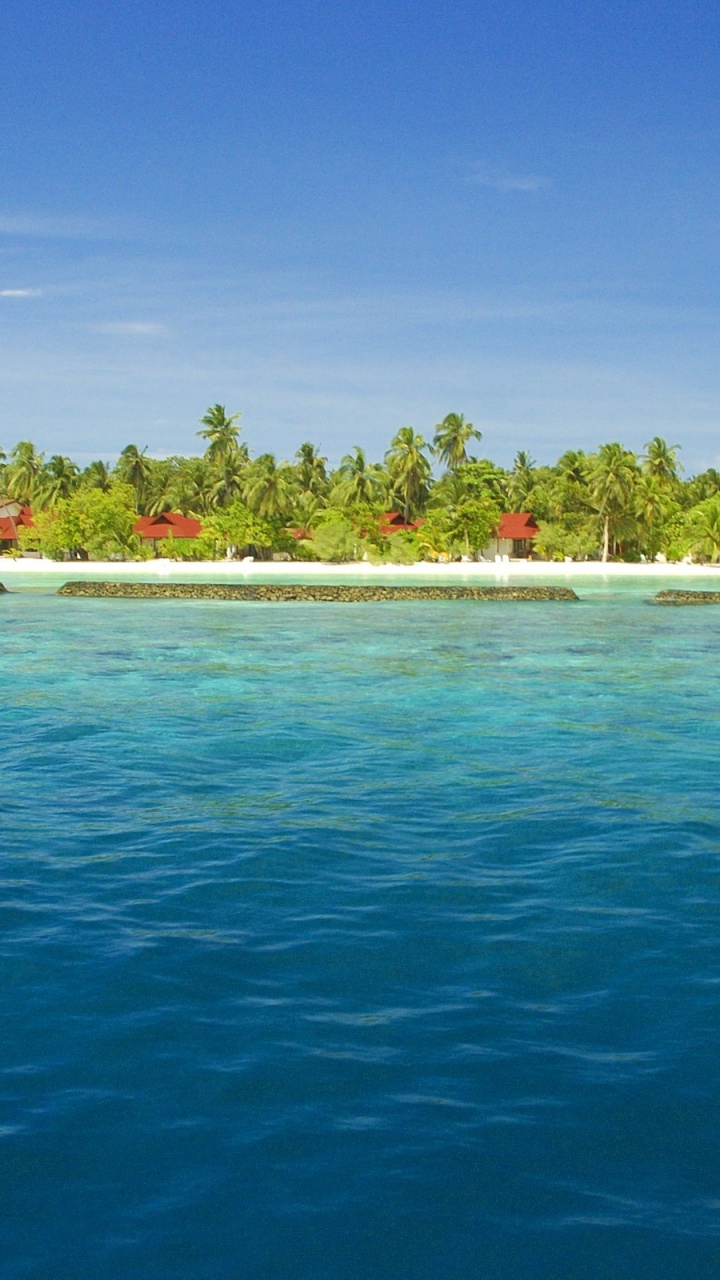 Green Trees Beside Blue Sea Under Blue Sky During Daytime. Wallpaper in 720x1280 Resolution