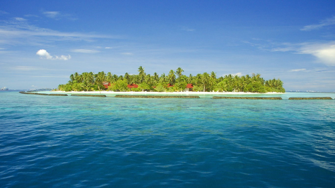 Grüne Bäume Neben Blauem Meer Unter Blauem Himmel Tagsüber. Wallpaper in 1366x768 Resolution