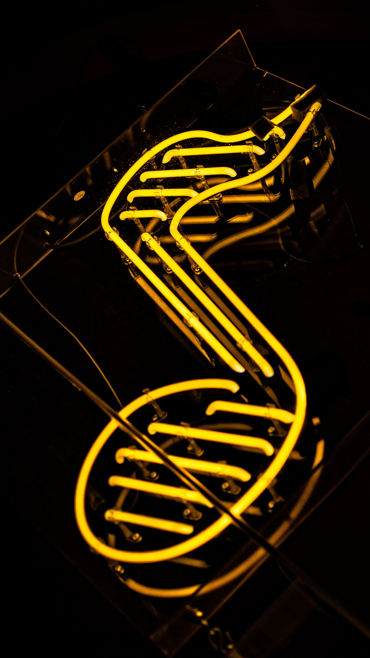 Light, Neon, Neon Sign, Graphics, Ati242. Wallpaper in 1440x2560 Resolution