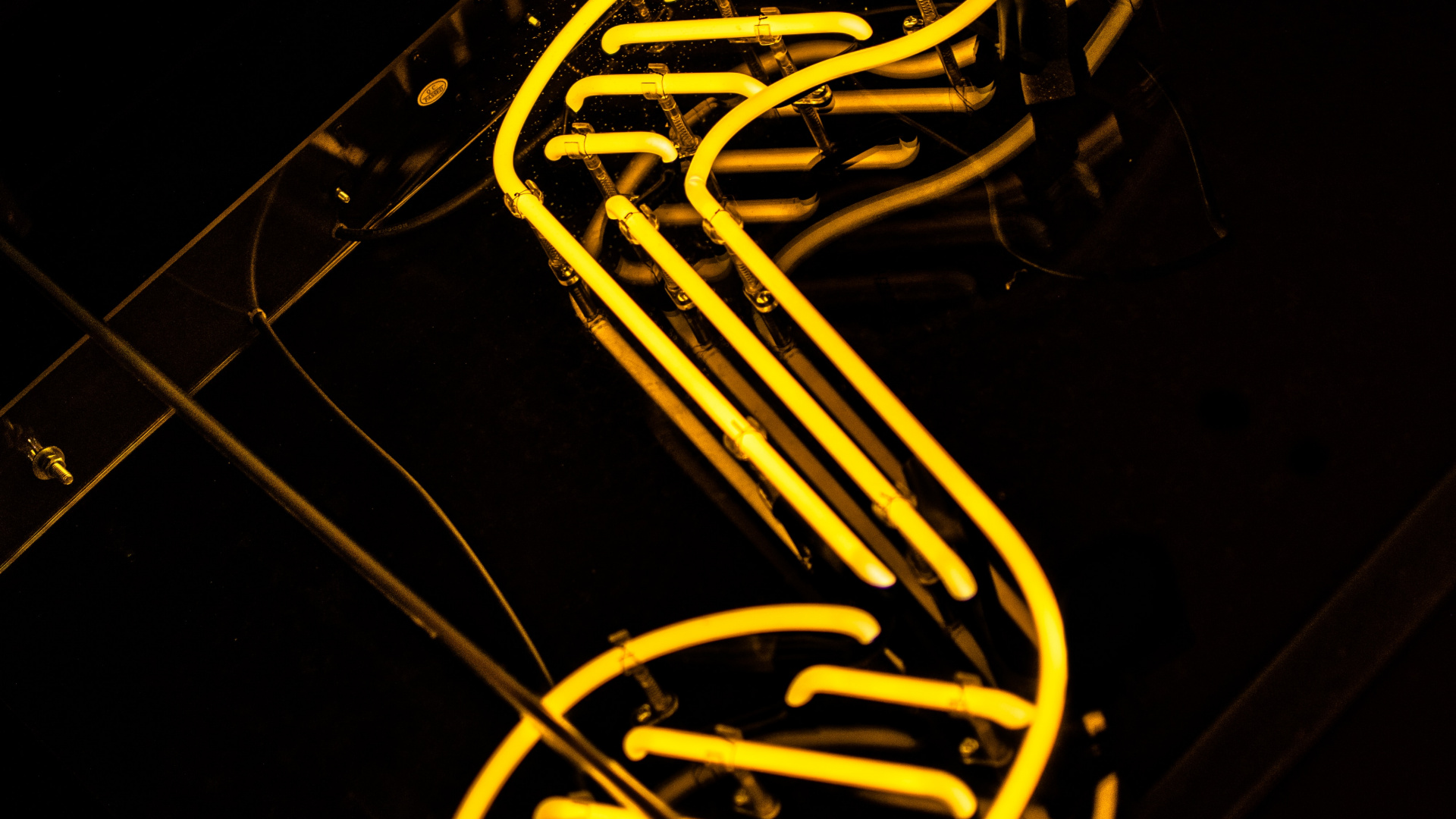 Light, Neon, Neon Sign, Graphics, Ati242. Wallpaper in 1920x1080 Resolution