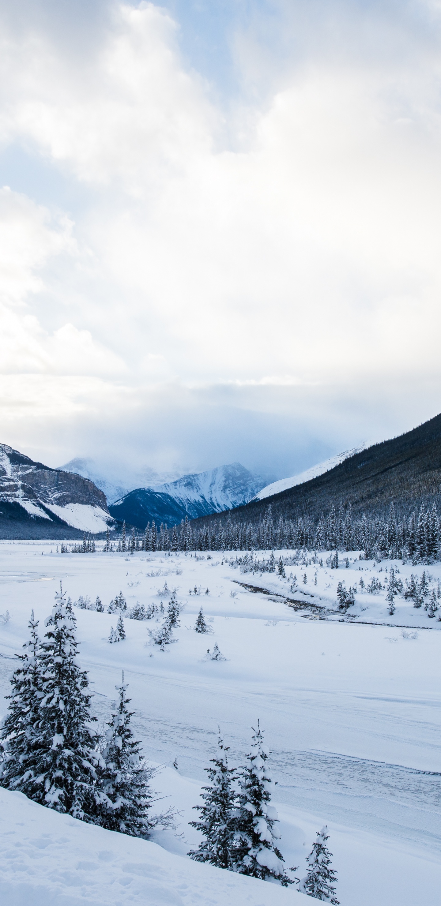 Neige, Nature, Ski, Hiver, Rivière. Wallpaper in 1440x2960 Resolution