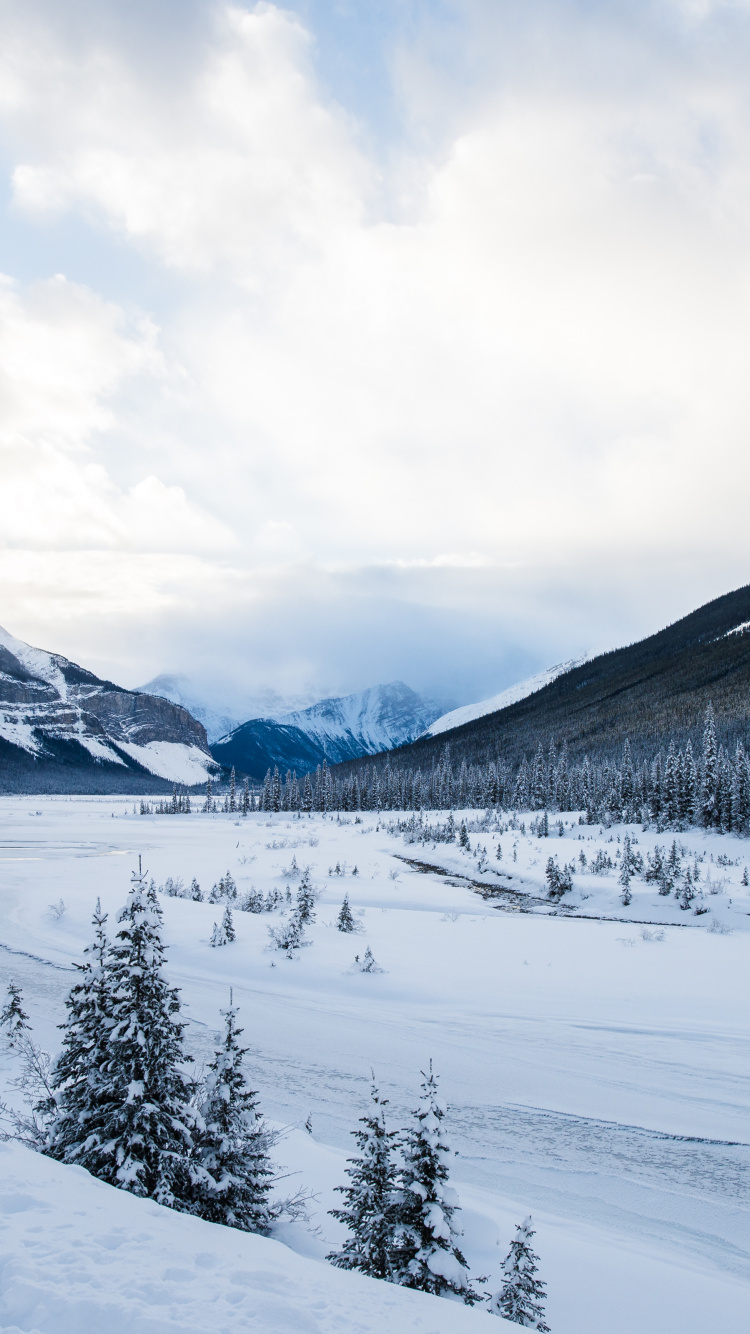 Schnee, Natur, Skifahren, Malerei, Winter. Wallpaper in 750x1334 Resolution