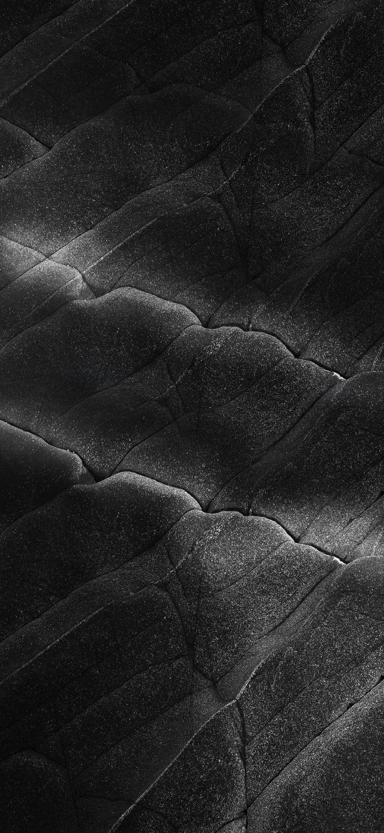 Schwarz Und Weiß, Schwarz, Monochrom, Silber. Wallpaper in 1242x2688 Resolution