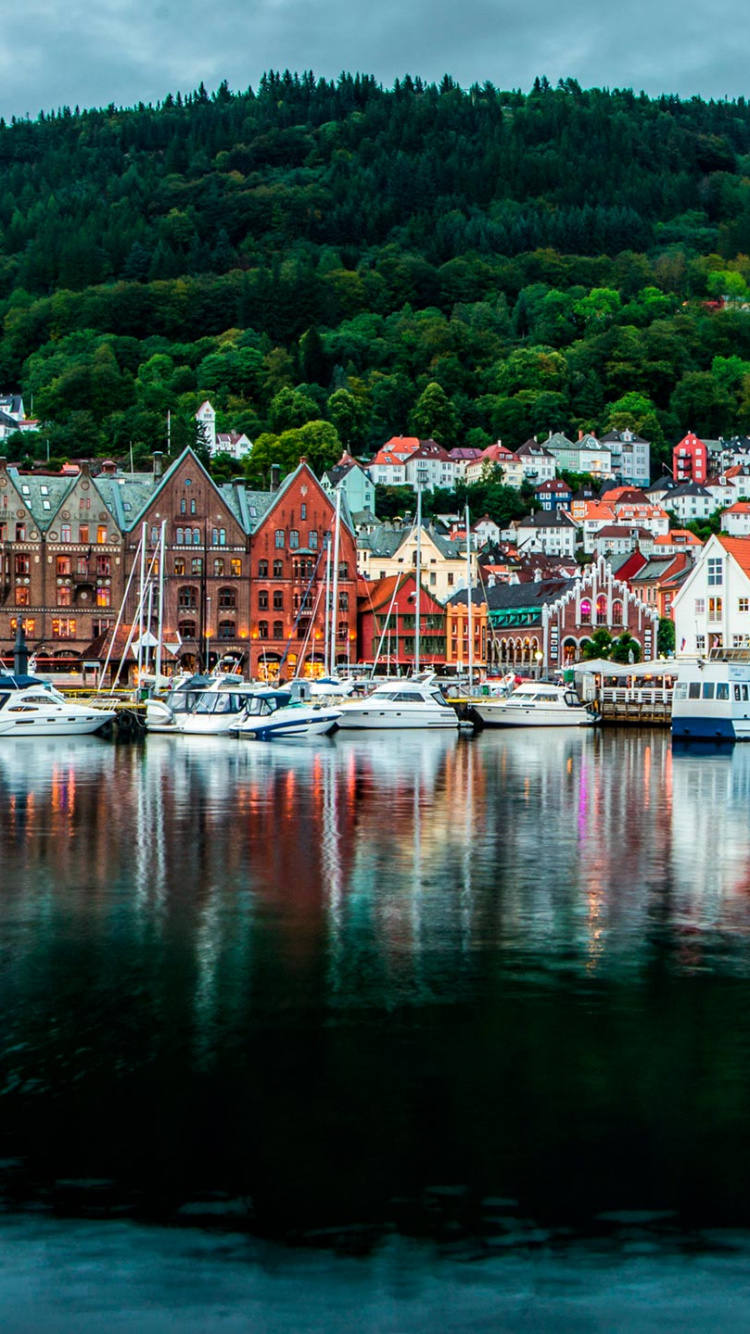Houses Near Body of Water During Daytime. Wallpaper in 750x1334 Resolution
