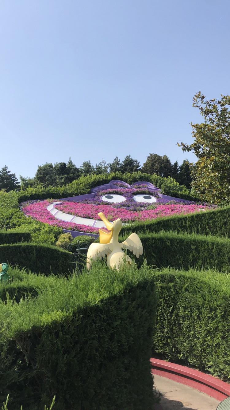 草, 草坪, 聚氨酯泡沫枪025st, 灌木, 花园 壁纸 750x1334 允许