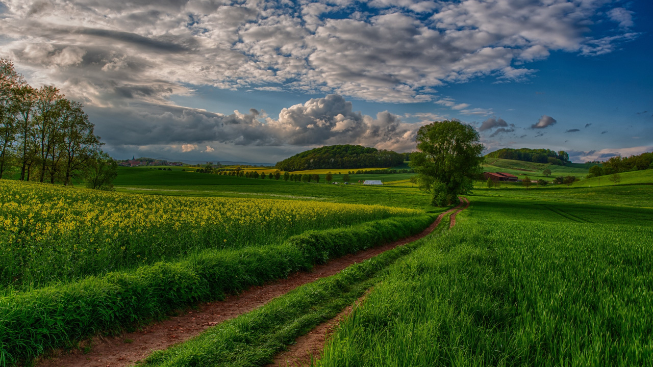 Green Grass Field Under Blue Sky During Daytime. Wallpaper in 1280x720 Resolution