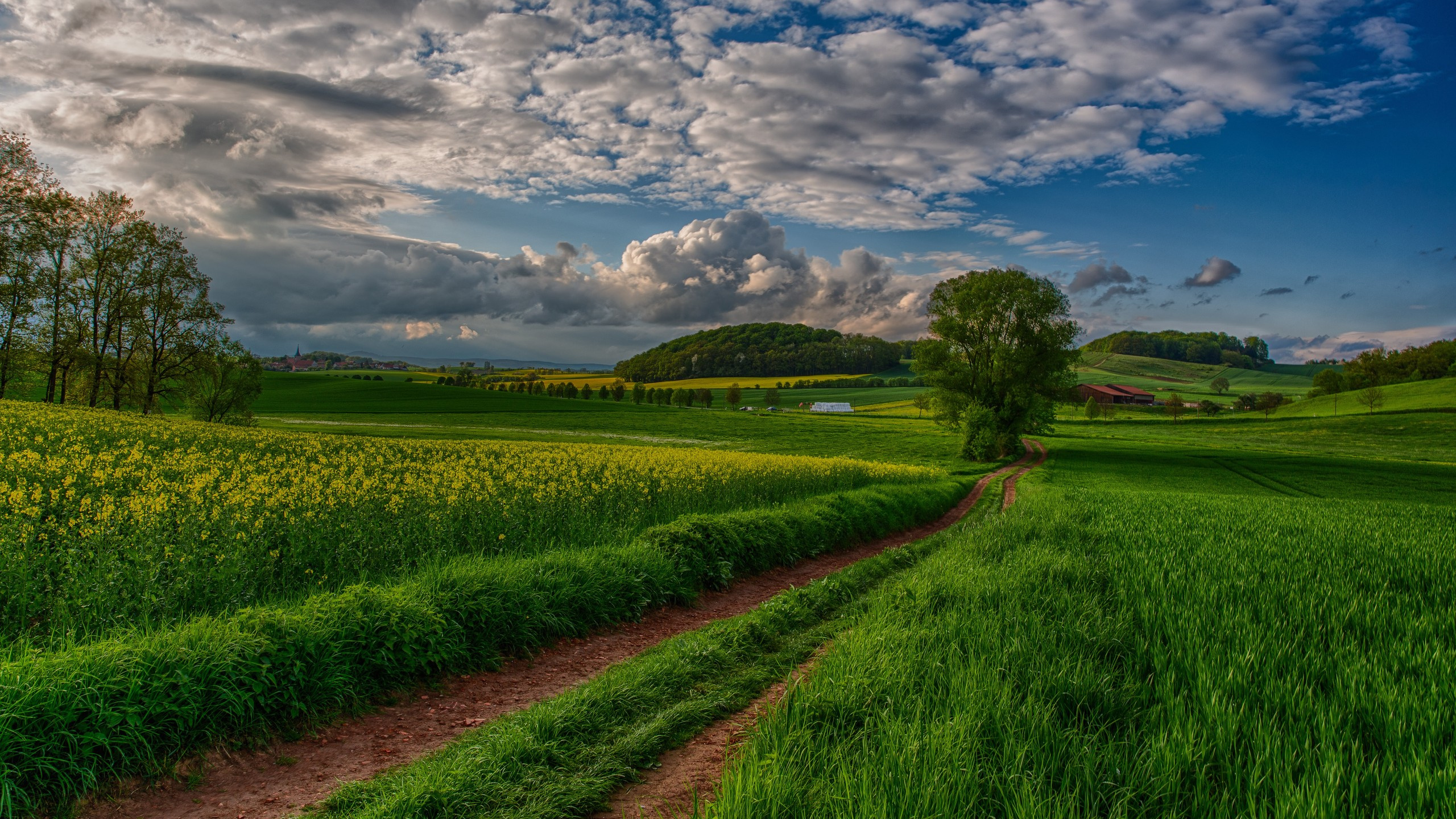Green Grass Field Under Blue Sky During Daytime. Wallpaper in 2560x1440 Resolution