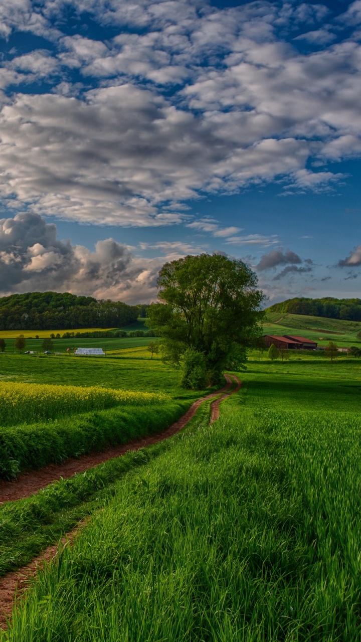 Green Grass Field Under Blue Sky During Daytime. Wallpaper in 720x1280 Resolution