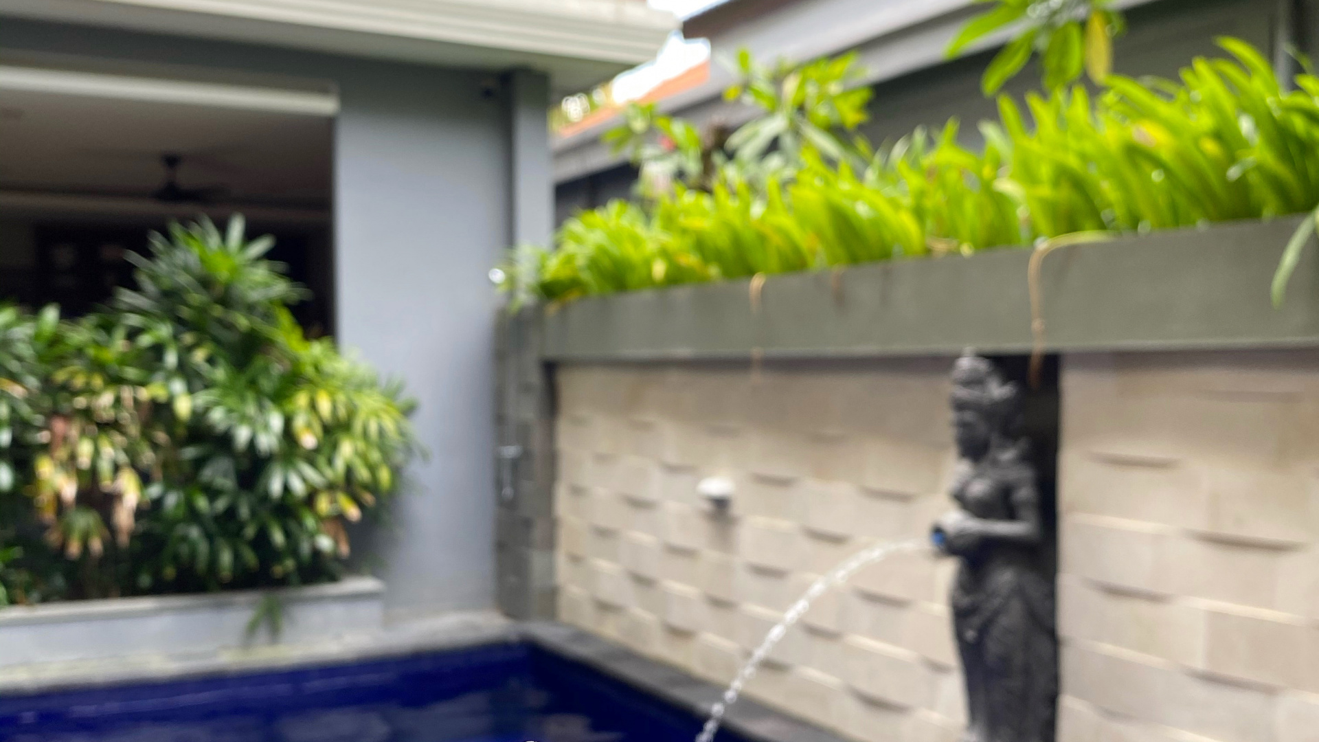 Leaf, Swimming Pool, Real Estate, Water, Majorelle Blue. Wallpaper in 1920x1080 Resolution