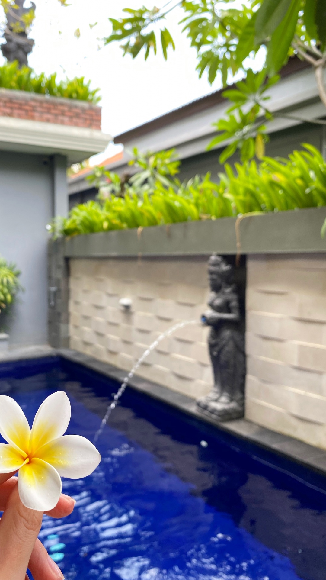 Piscina, Inmueble, Agua, Azul Majorelle, Naturaleza. Wallpaper in 1080x1920 Resolution