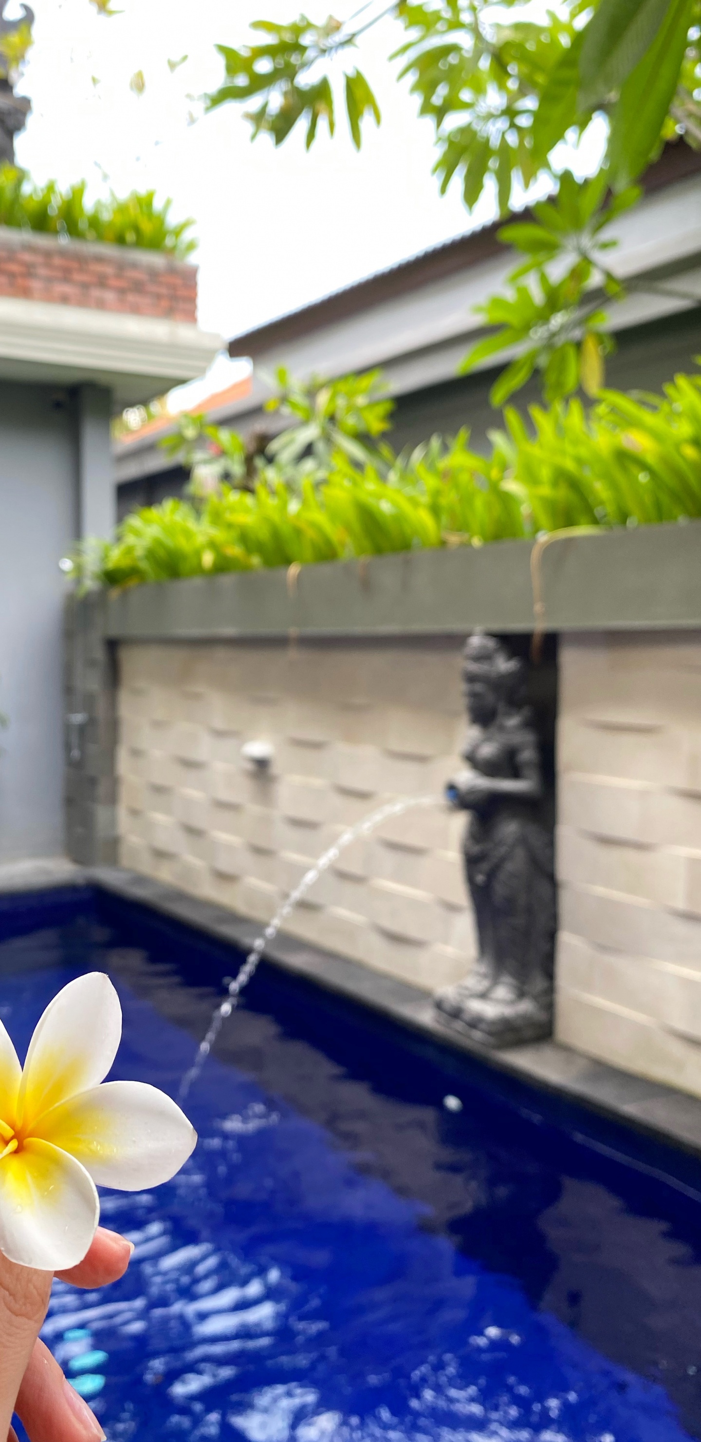 Piscina, Inmueble, Agua, Azul Majorelle, Naturaleza. Wallpaper in 1440x2960 Resolution