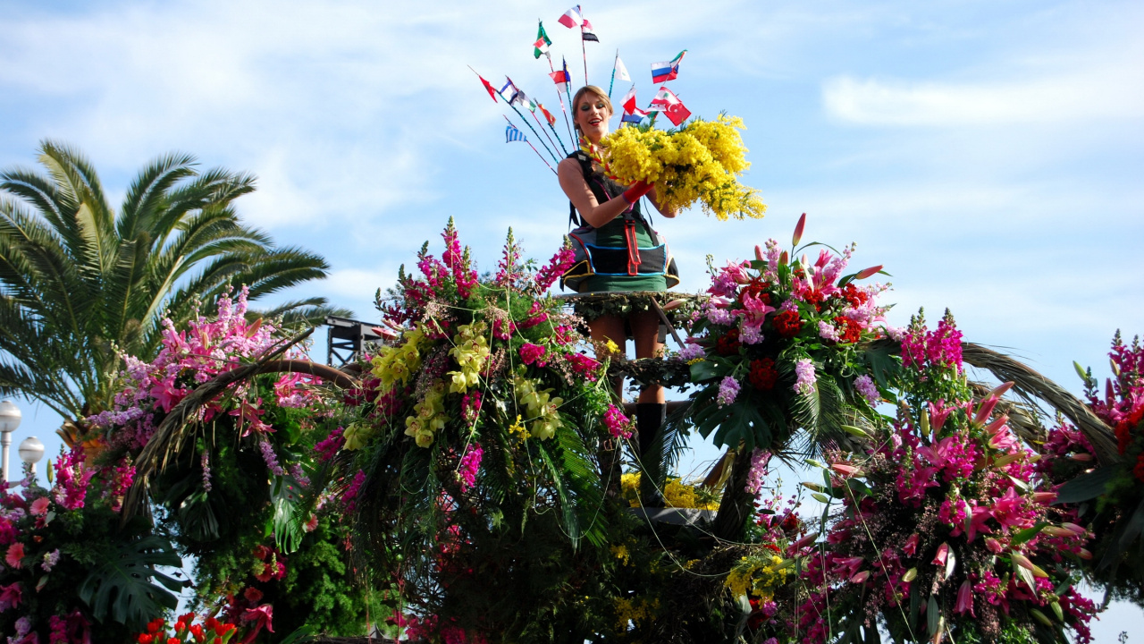 Red and Yellow Flowers on Brown Wooden Box. Wallpaper in 1280x720 Resolution