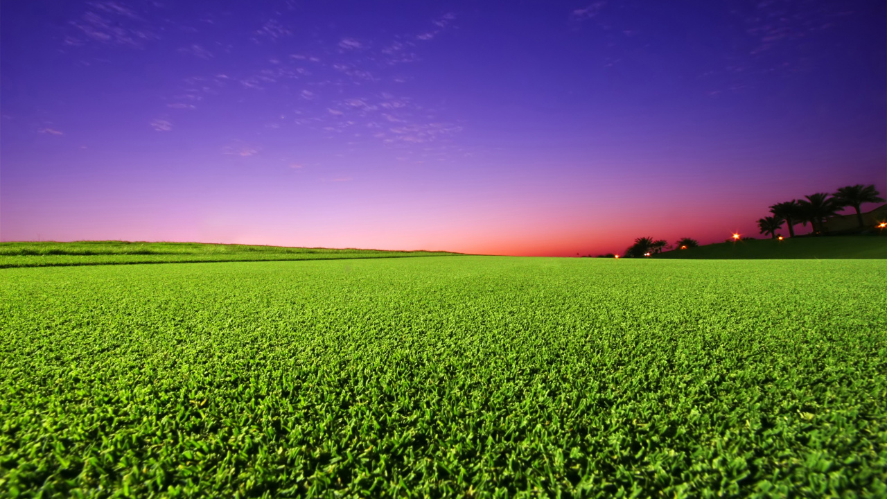 Champ D'herbe Verte Pendant le Coucher du Soleil. Wallpaper in 1280x720 Resolution