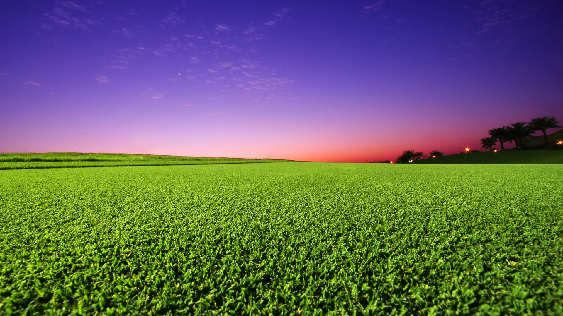 Champ D'herbe Verte Pendant le Coucher du Soleil. Wallpaper in 1920x1080 Resolution
