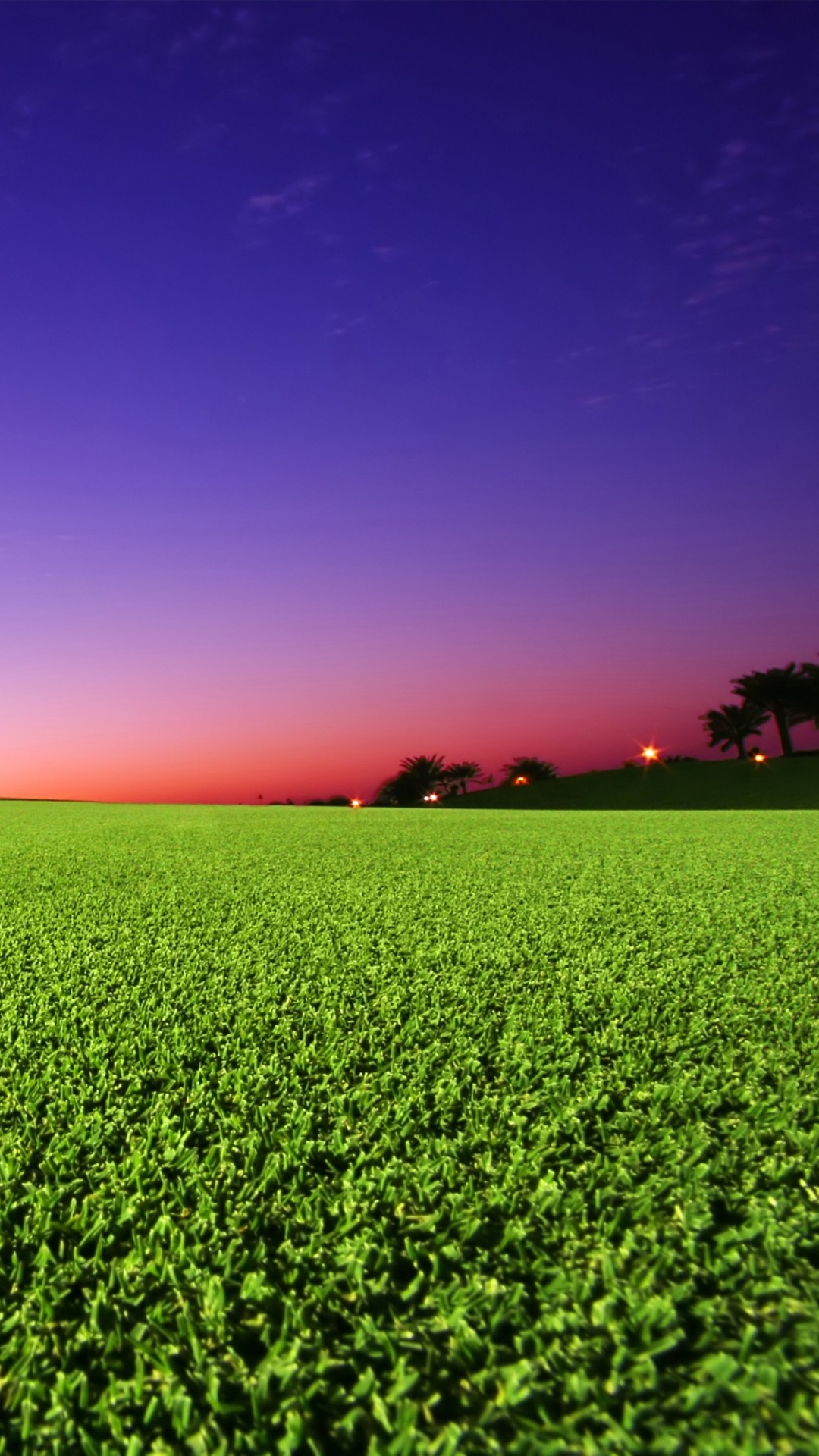 Grüne Wiese Bei Sonnenuntergang. Wallpaper in 1080x1920 Resolution
