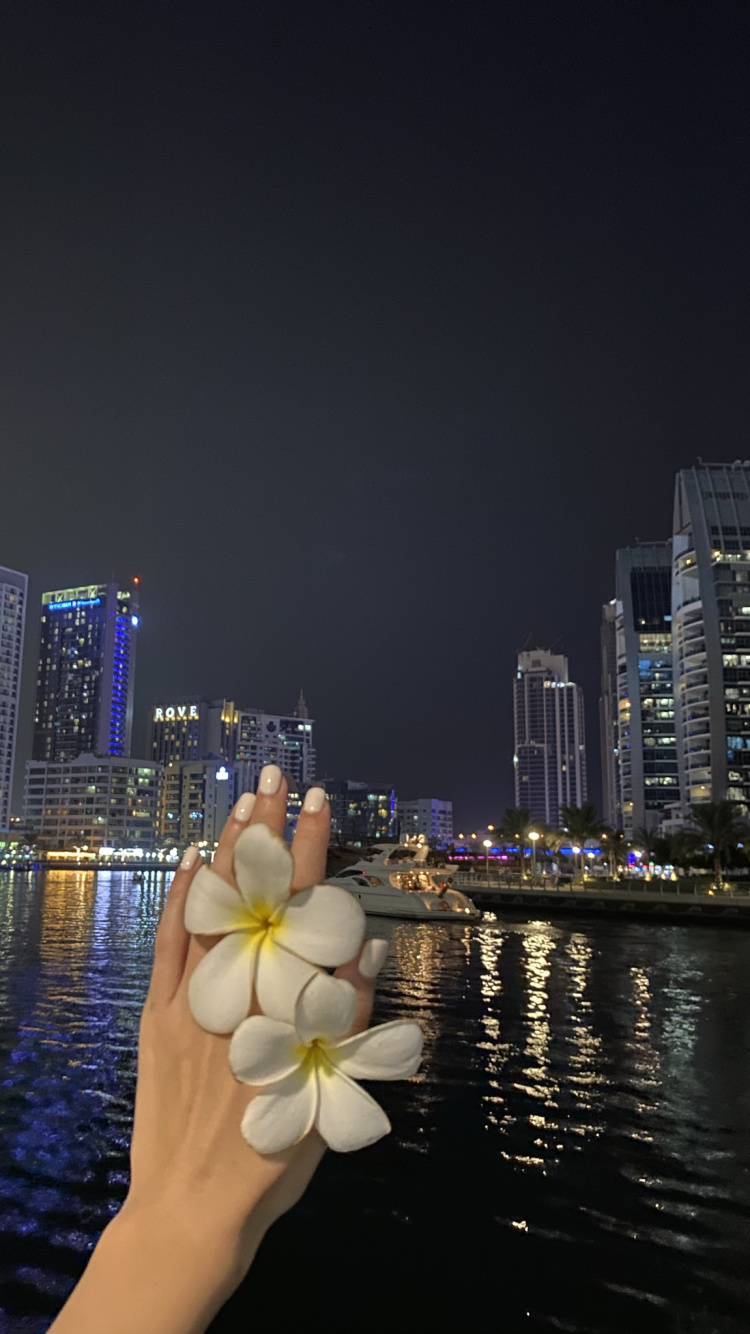 反射, 塔块, 大都会, 城市景观, 城市 壁纸 750x1334 允许