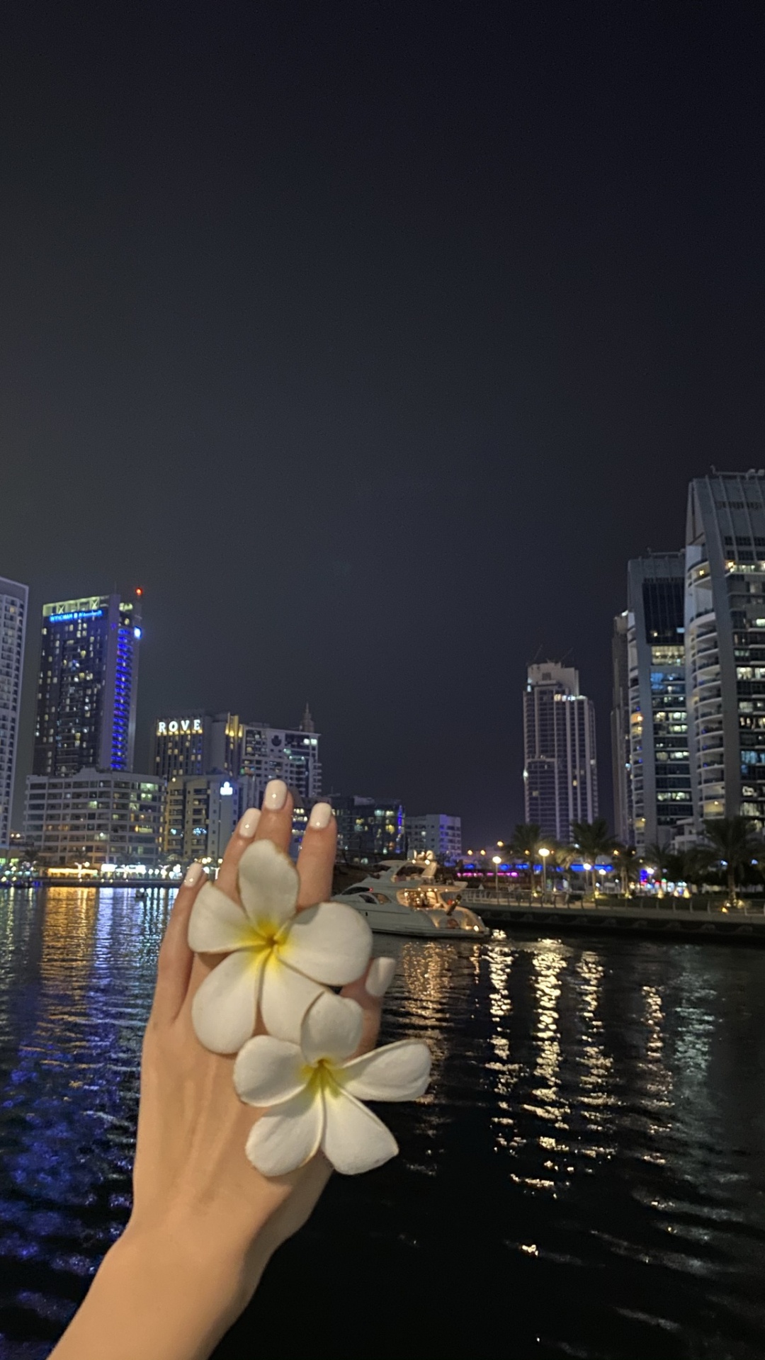 Reflection, Skyscraper, Petal, Tower Block, Night. Wallpaper in 1080x1920 Resolution