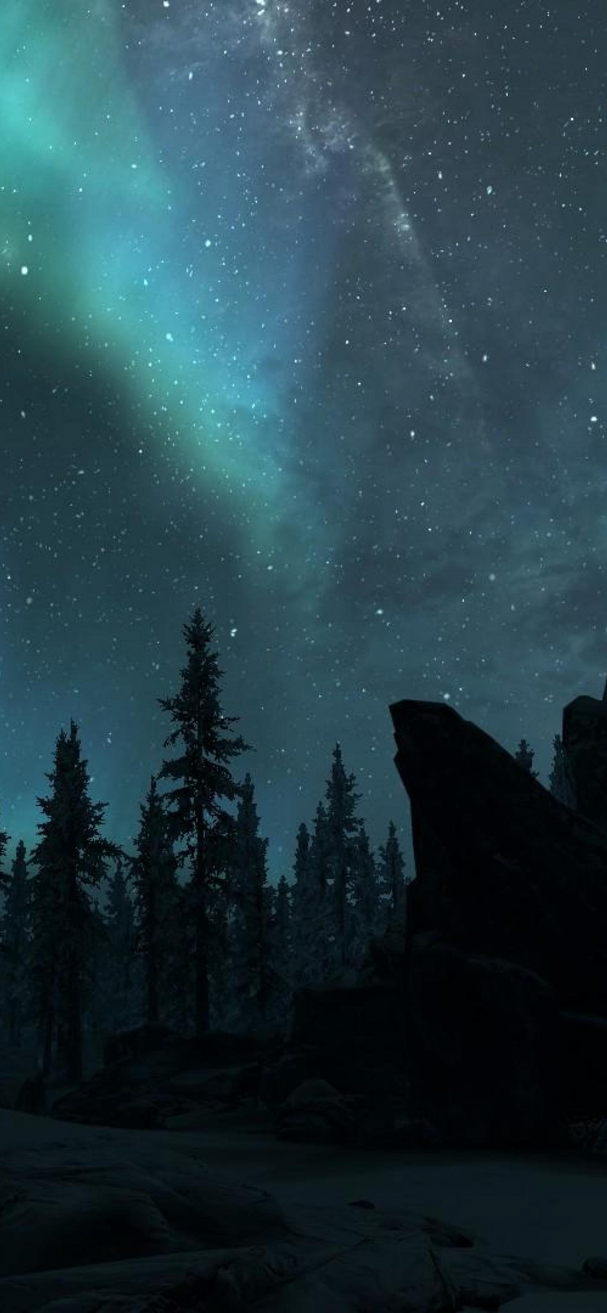 Aurora, Natur, Baum, Natürlichen Umgebung, Nacht. Wallpaper in 1242x2688 Resolution