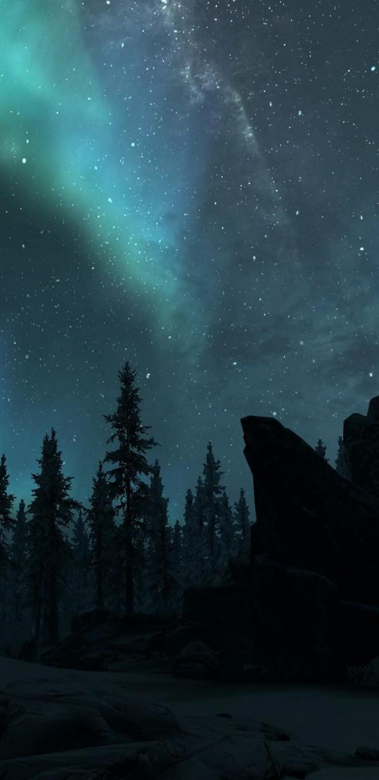 Aurora, Natur, Baum, Natürlichen Umgebung, Nacht. Wallpaper in 1440x2960 Resolution