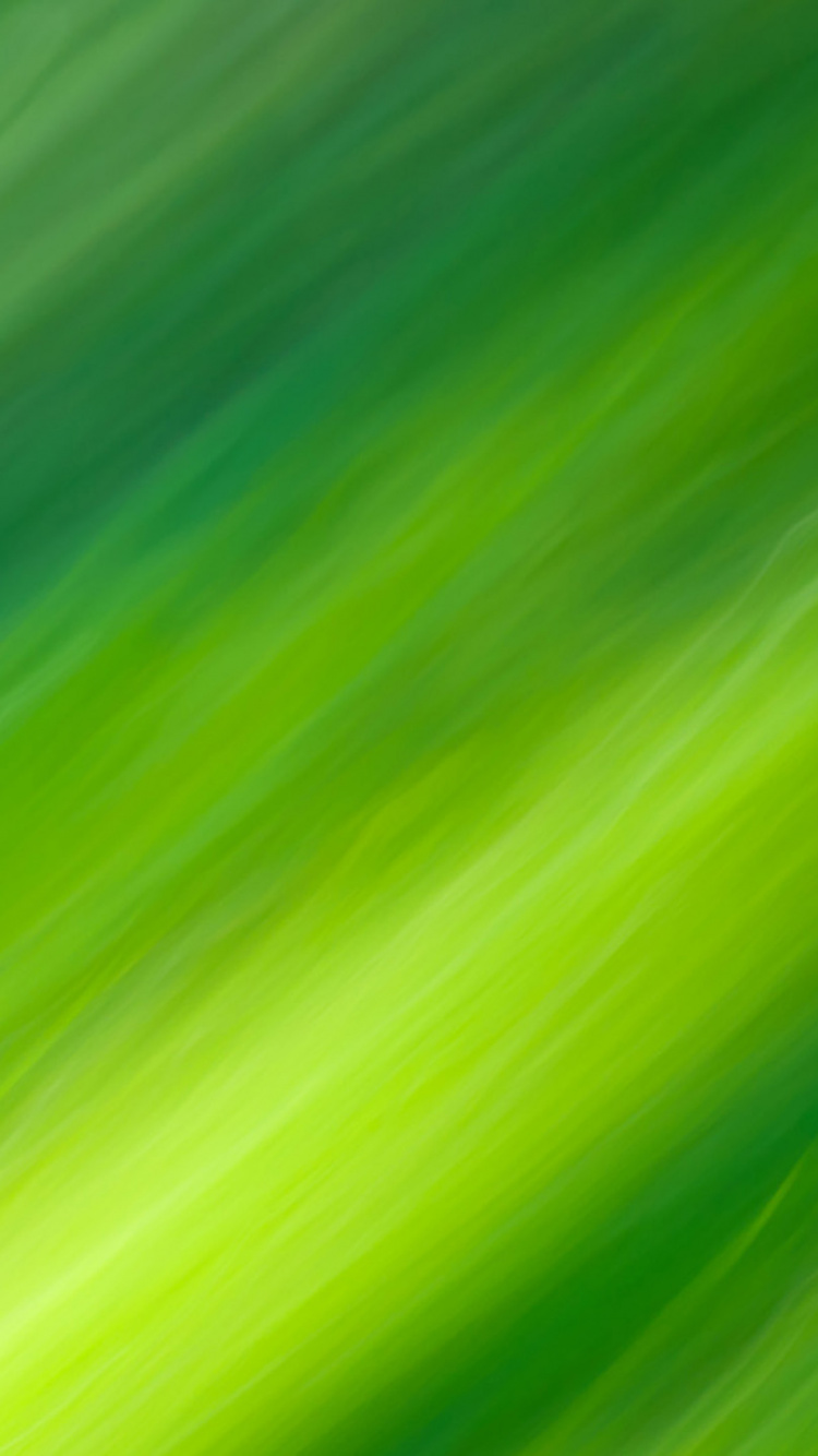 Green Textile in Close up Image. Wallpaper in 750x1334 Resolution