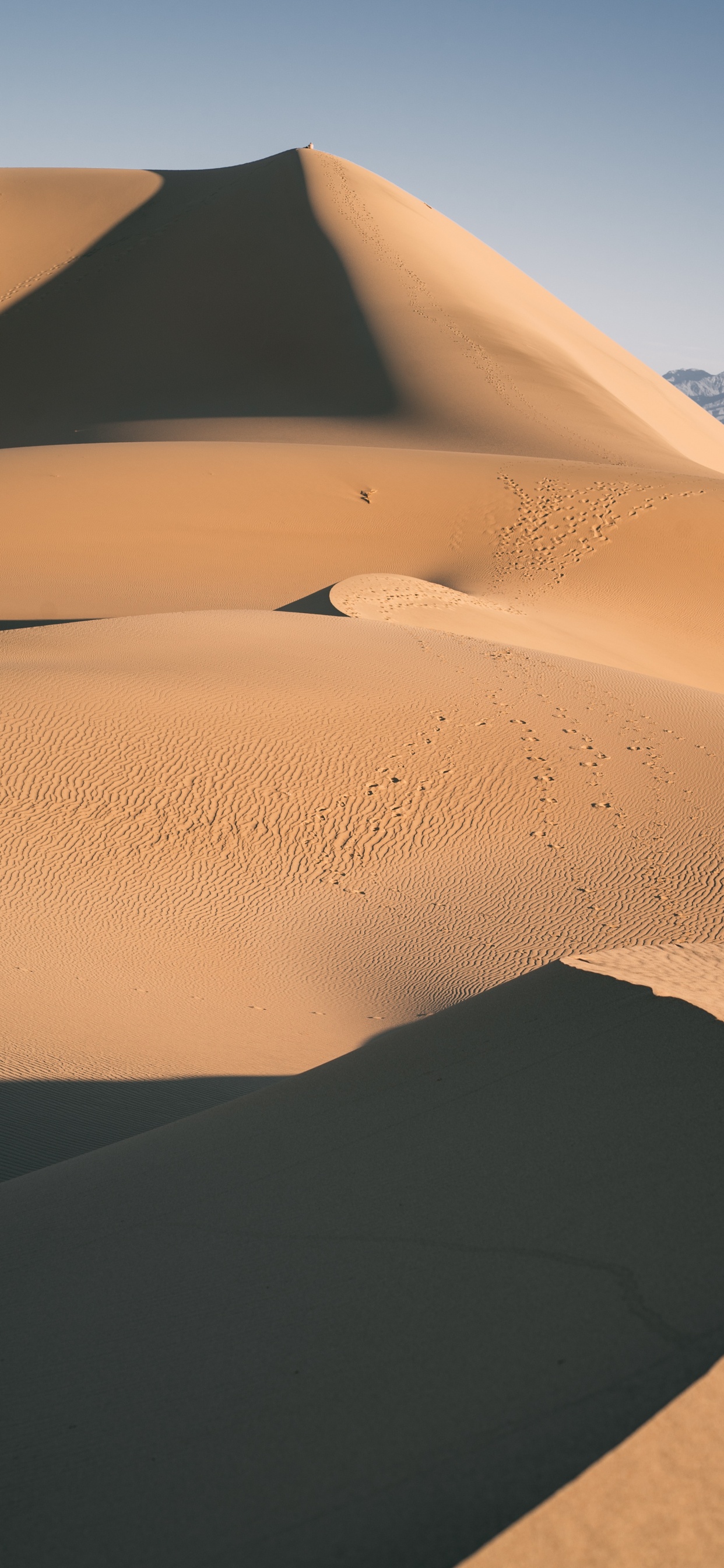 Dune, Soil, Natural Environment, Erg, Geology. Wallpaper in 1242x2688 Resolution