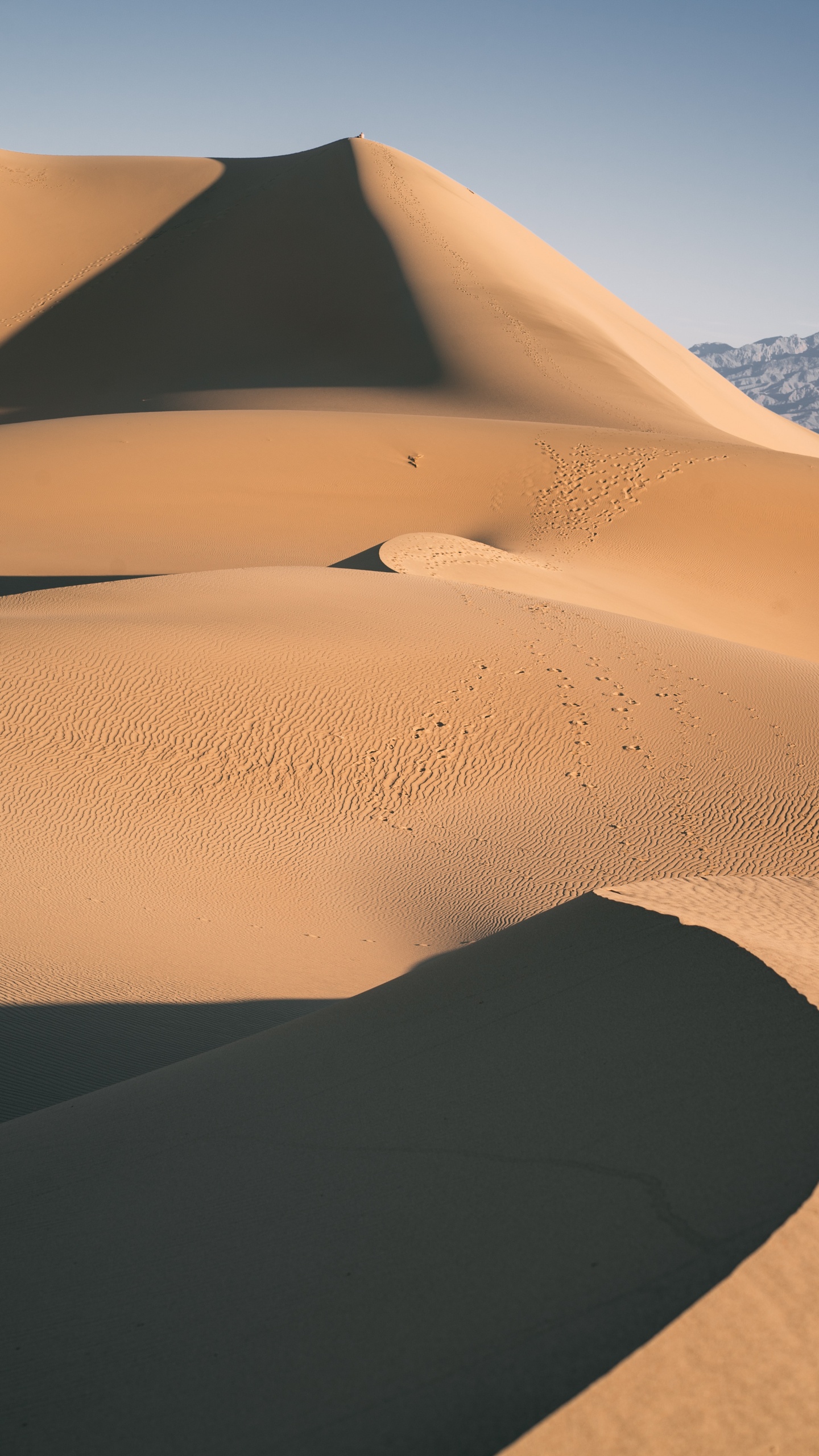 Dune, Soil, Natural Environment, Erg, Geology. Wallpaper in 1440x2560 Resolution