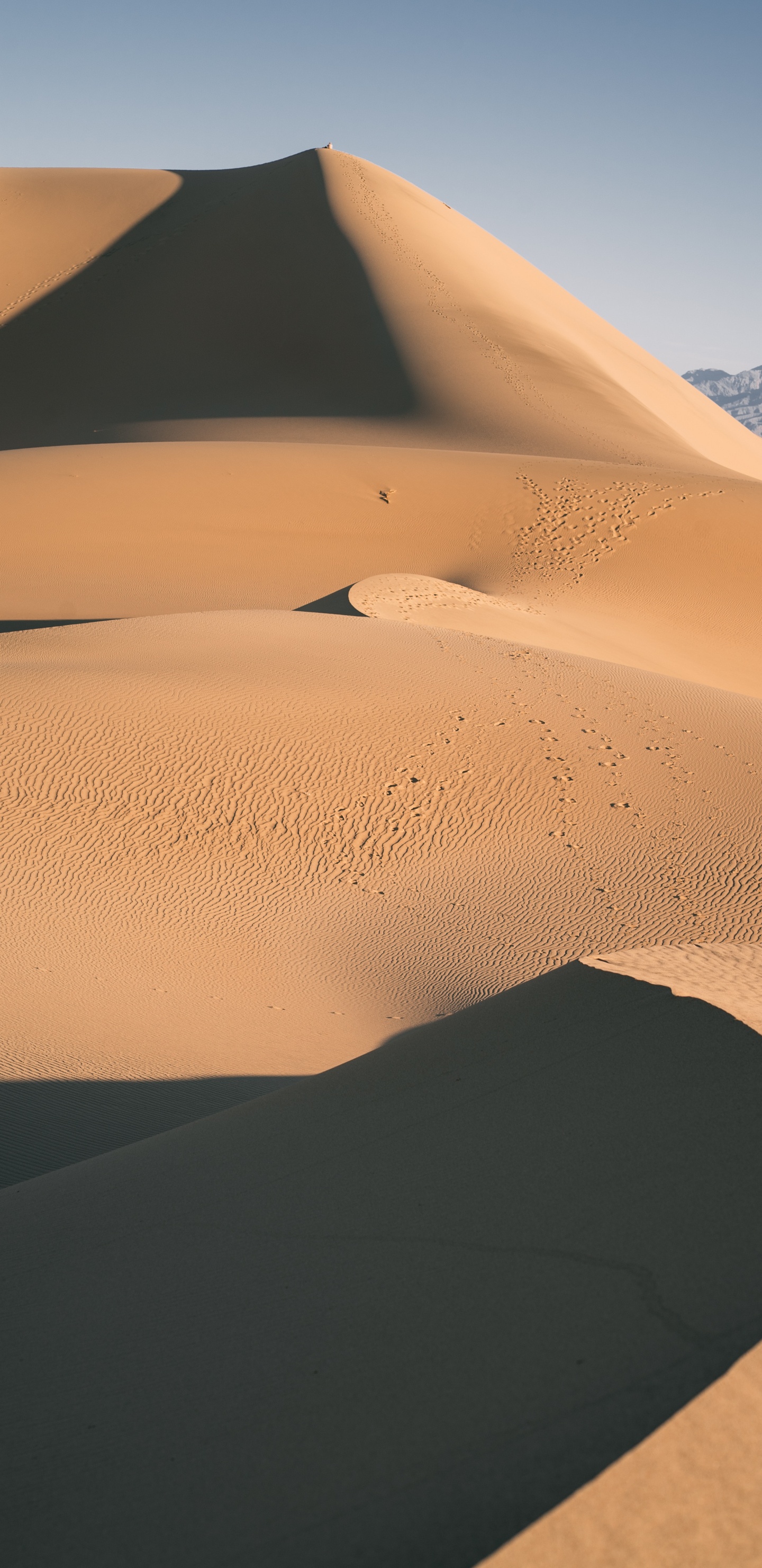 Dune, Sol, Environnement Naturel, ERG, Géologie. Wallpaper in 1440x2960 Resolution