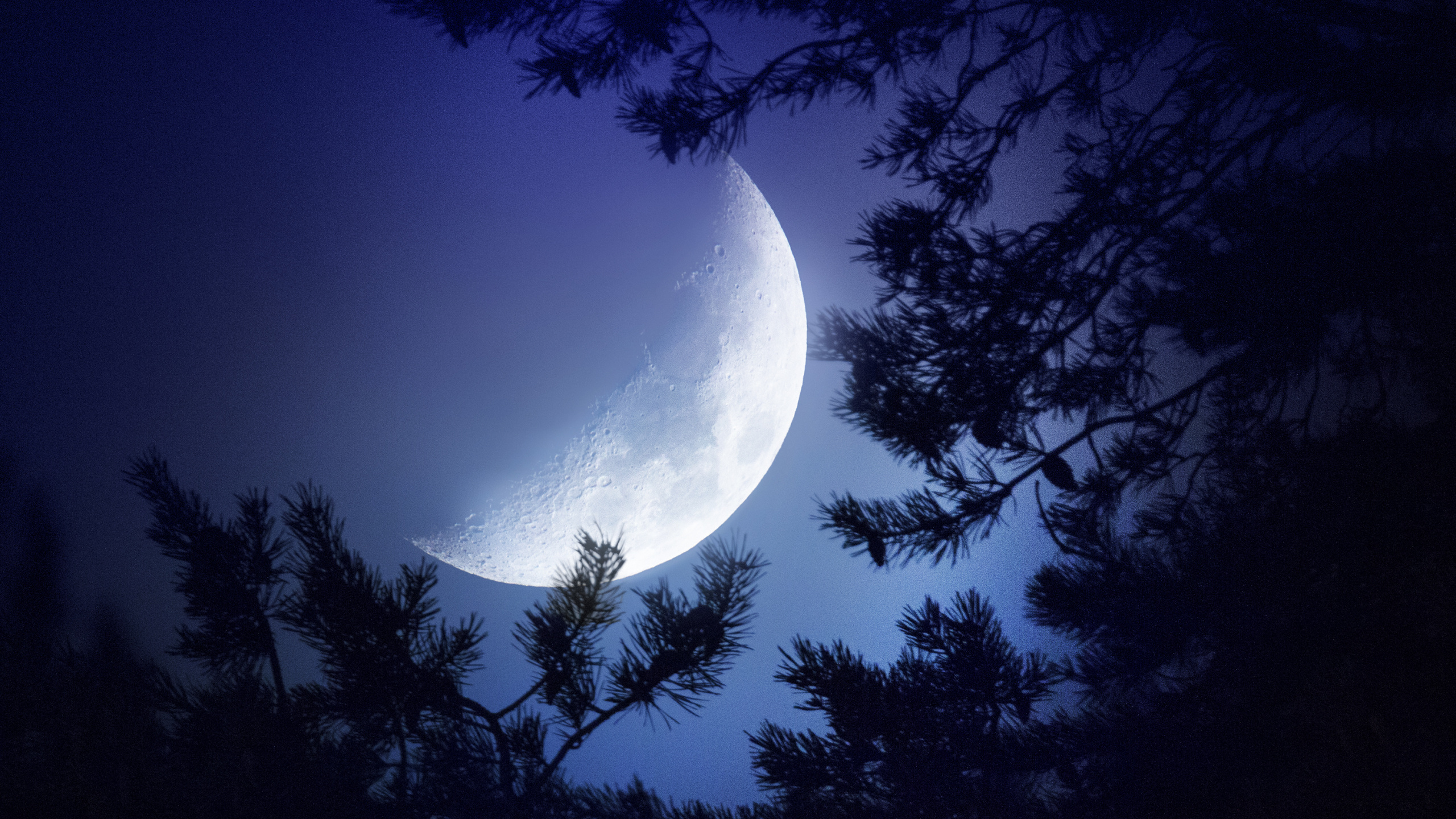 Luna, Naturaleza, Ambiente, Objeto Astronómico, Luz. Wallpaper in 2560x1440 Resolution