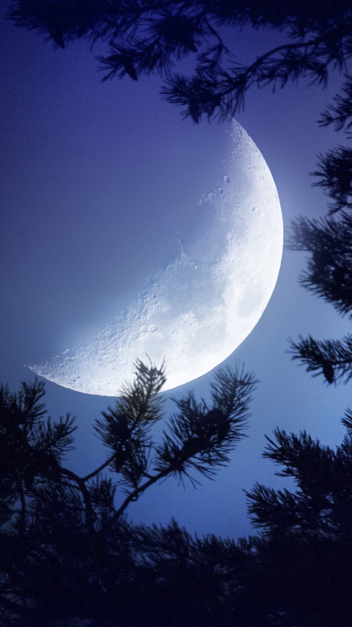 Luna, Naturaleza, Ambiente, Objeto Astronómico, Luz. Wallpaper in 720x1280 Resolution