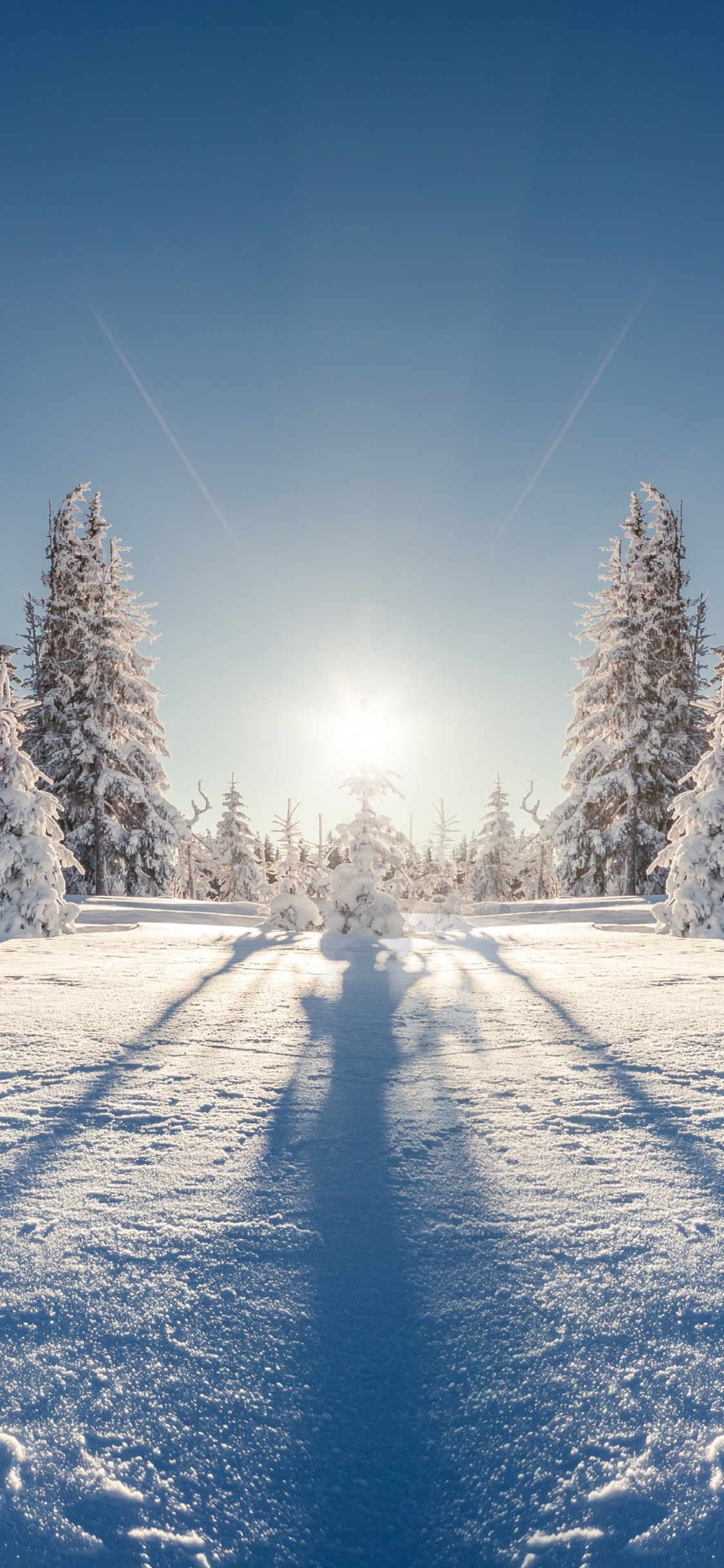Schneebedeckte Bäume Unter Blauem Himmel Tagsüber. Wallpaper in 1125x2436 Resolution