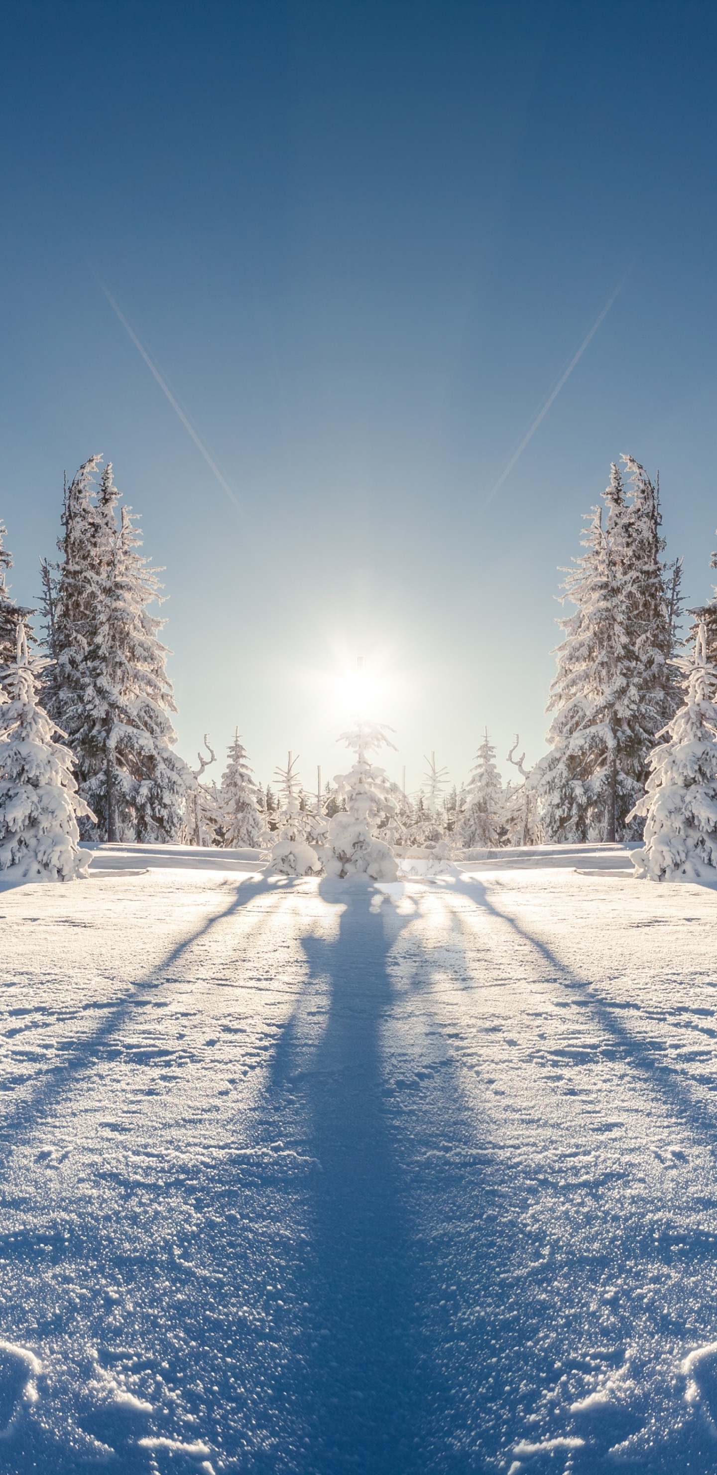 Schneebedeckte Bäume Unter Blauem Himmel Tagsüber. Wallpaper in 1440x2960 Resolution